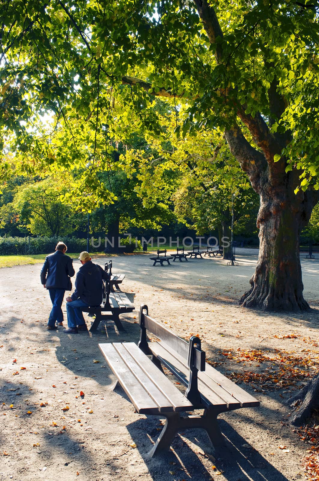 Senior couple in the public park