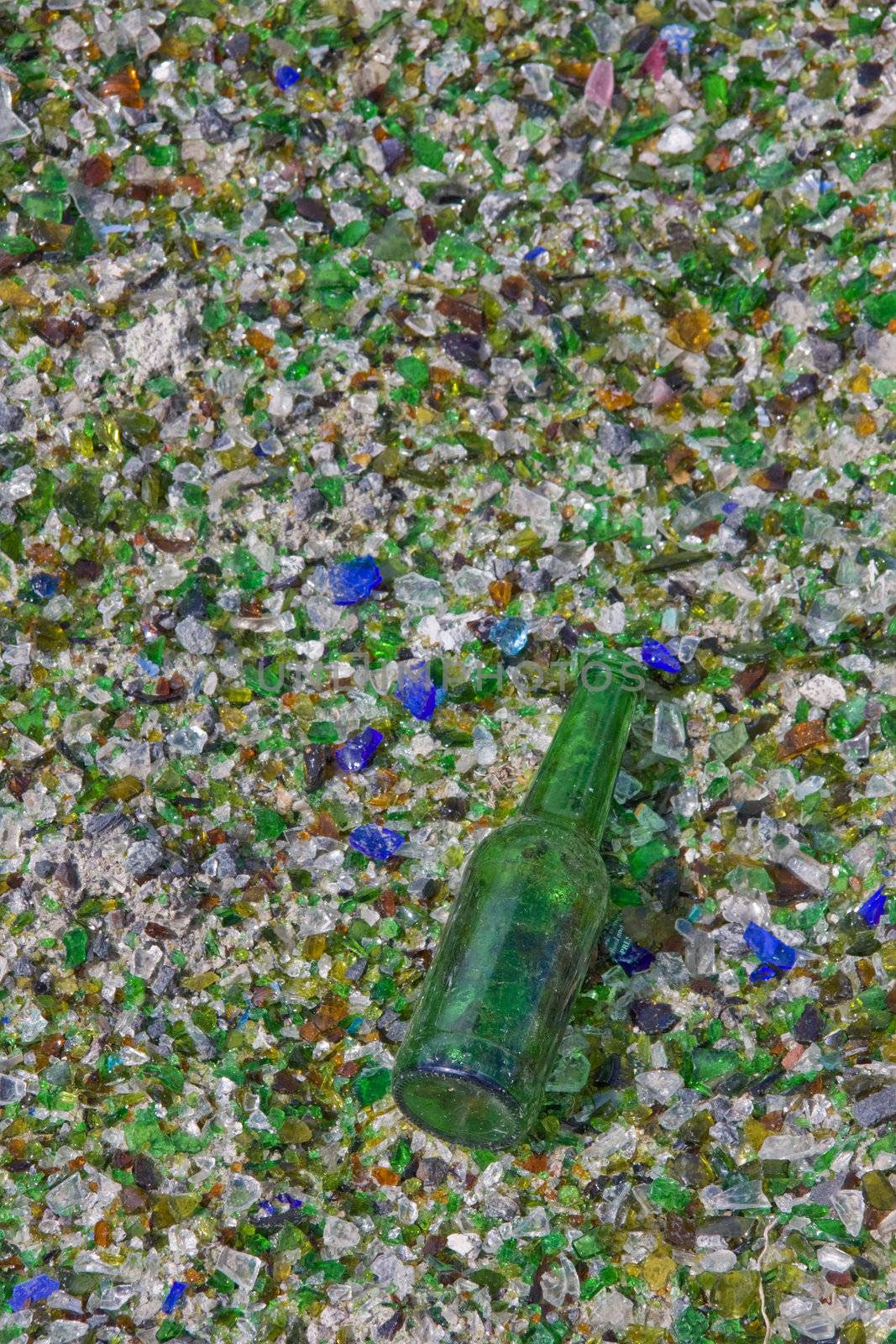 Bottle that escaped the crusher at a recycling plant