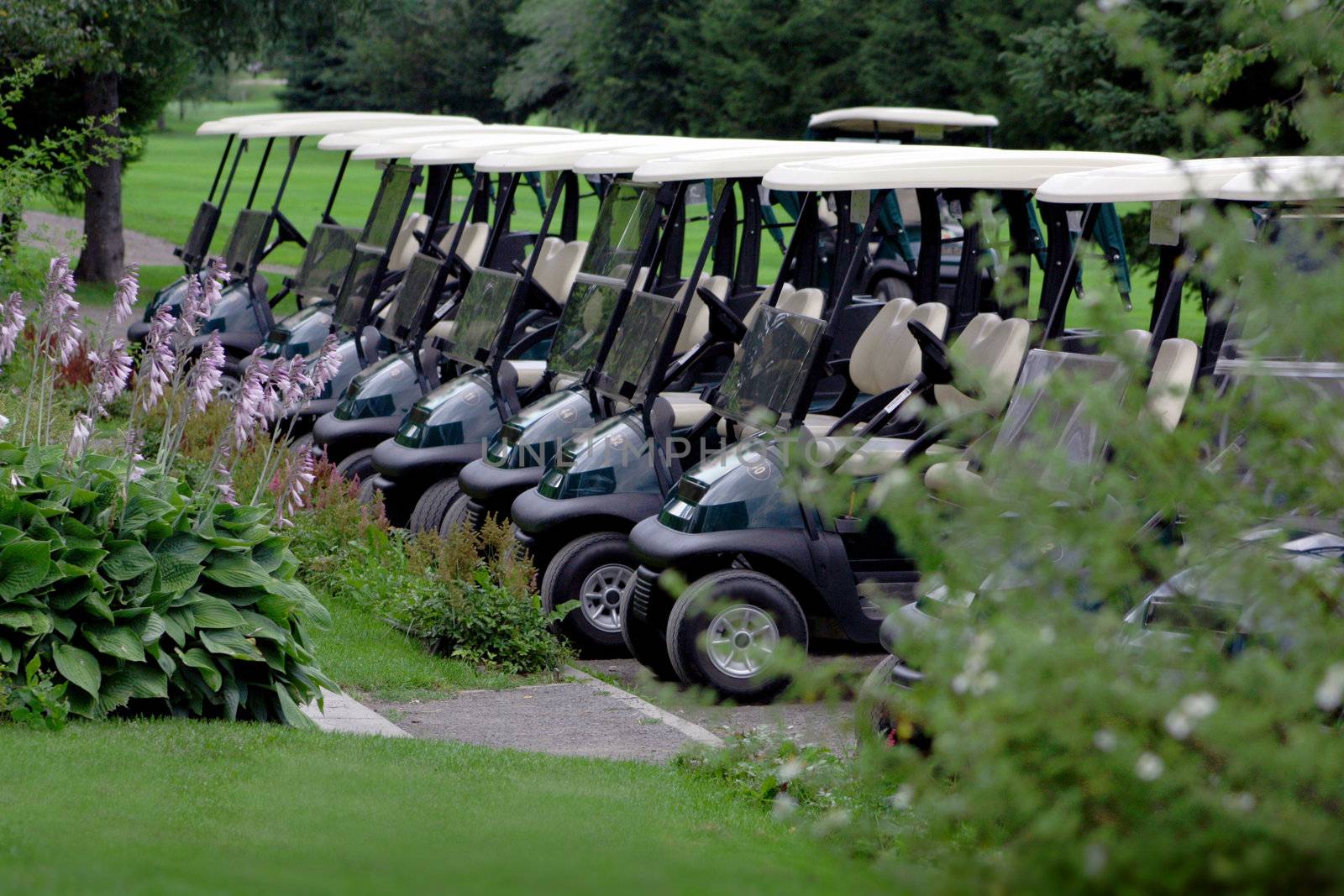 Parked Golf Carts at the Club House