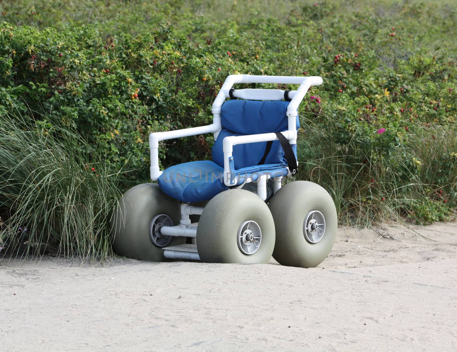 Handicapped Wheel Chair for Beach