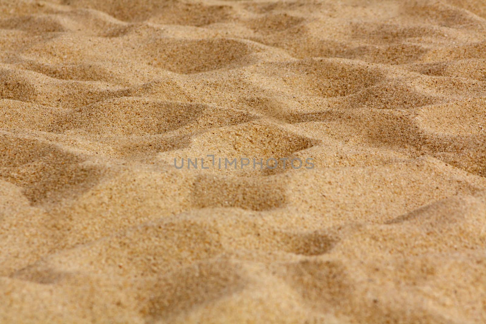Closeup on Gold Beach Sand