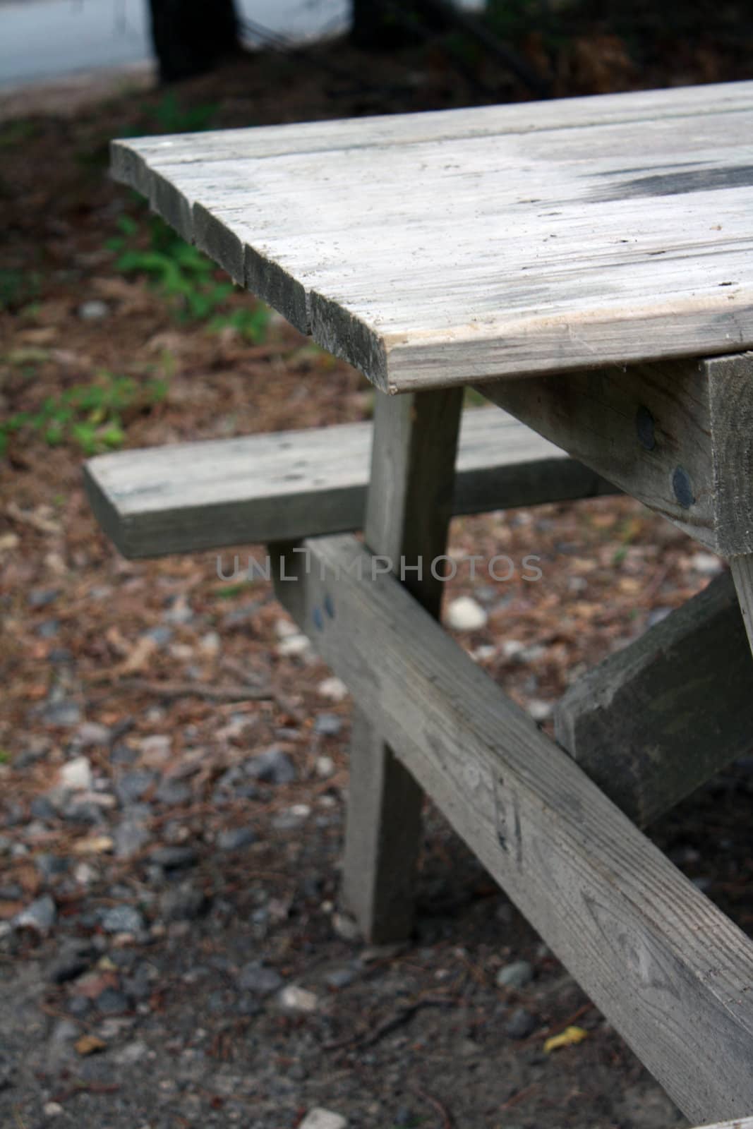 Outdoor Wooden Table and Bench