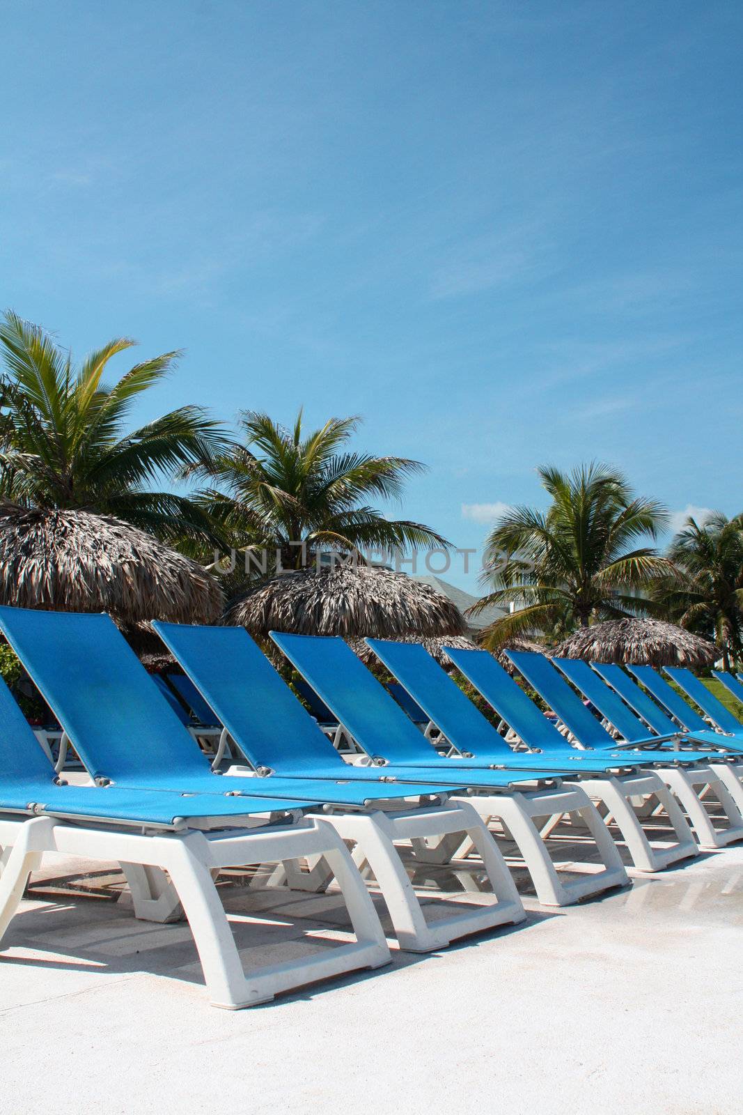 Chairs on a Tropical Resort