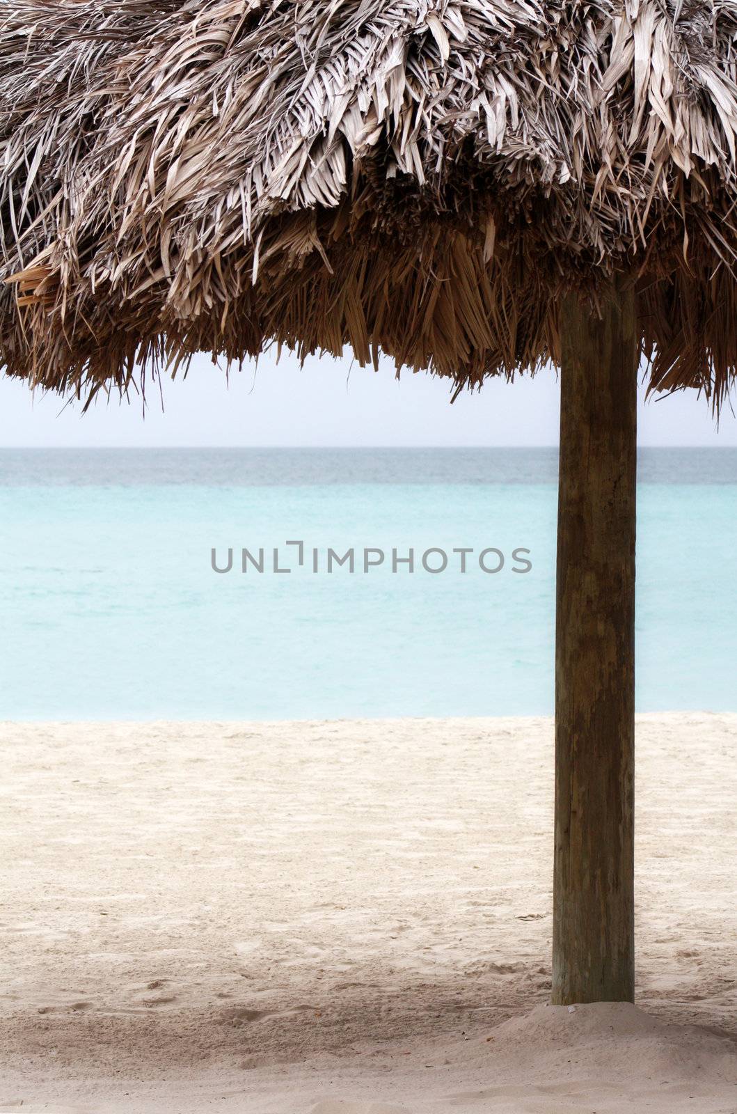 Articifial Resort Palm Tree on a Tropical Beach