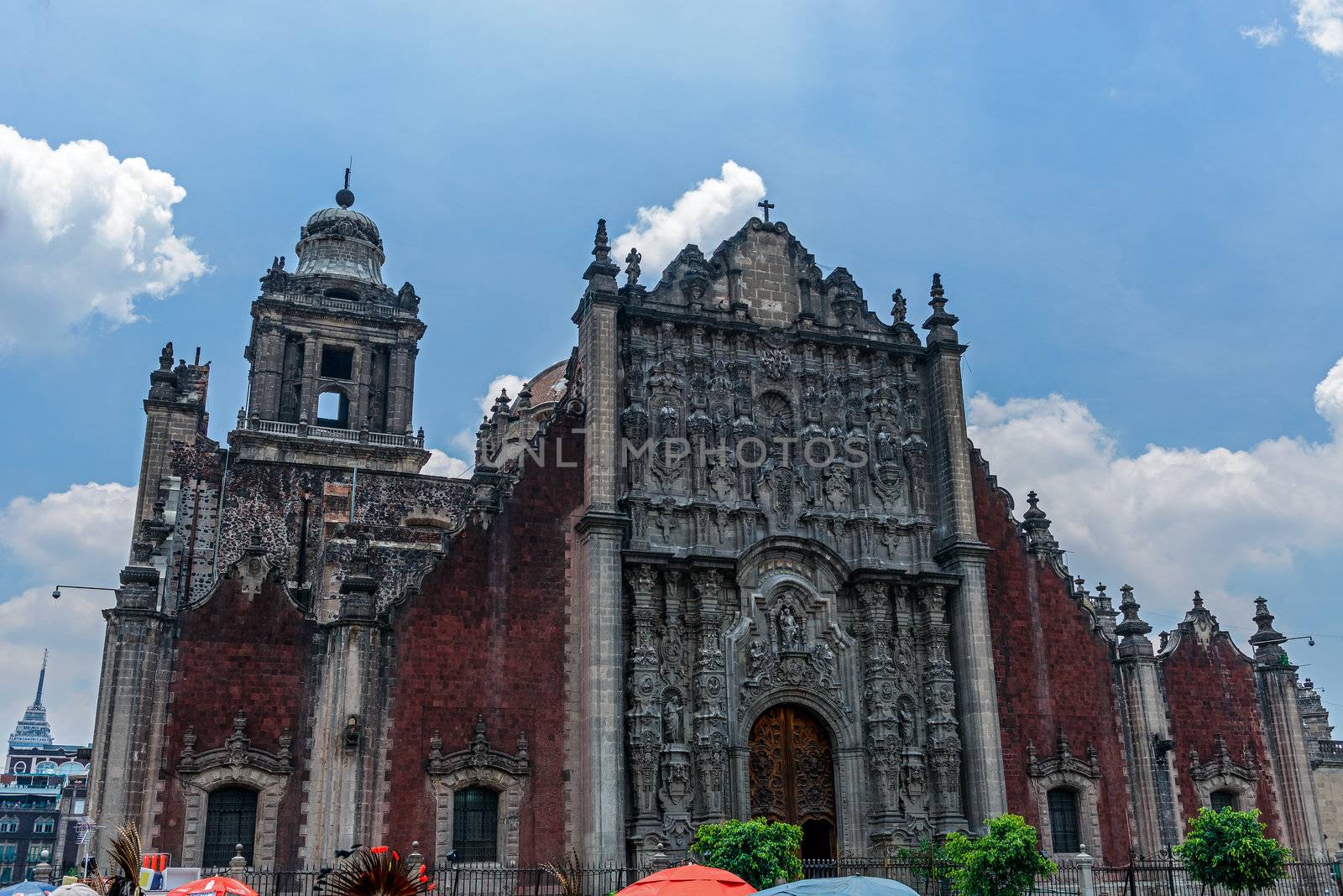 The Metropolitan Cathedral of the Assumption of Mary of Mexico C by Marcus