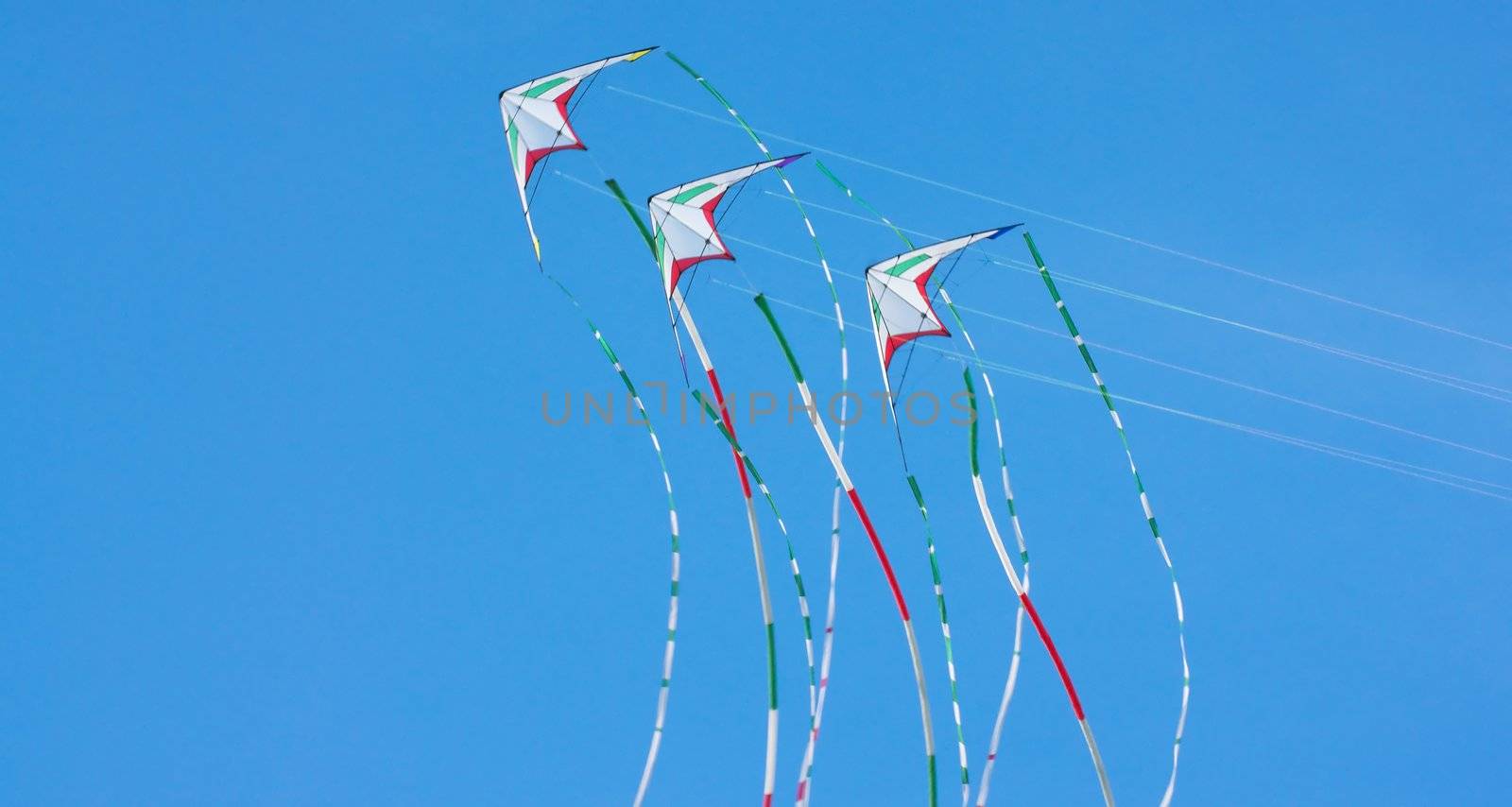 Three kites flying in the blue sky