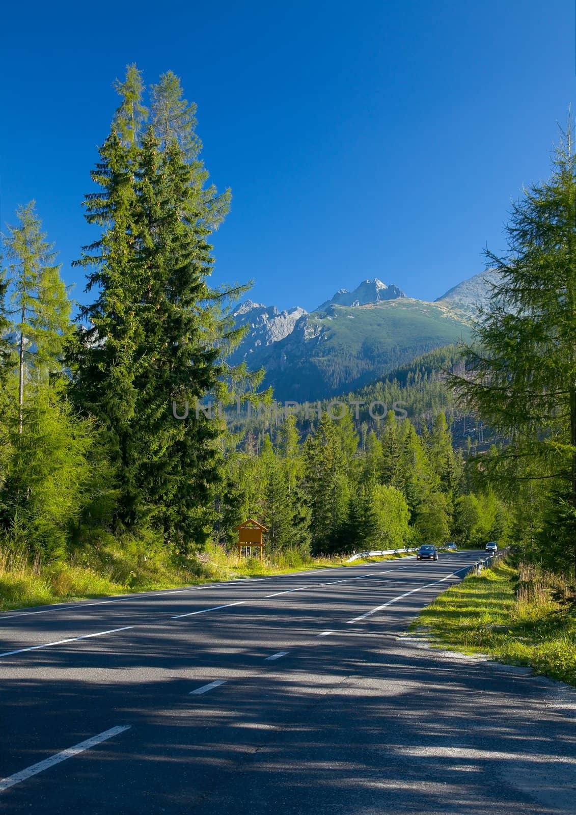 Mountain road by Gudella