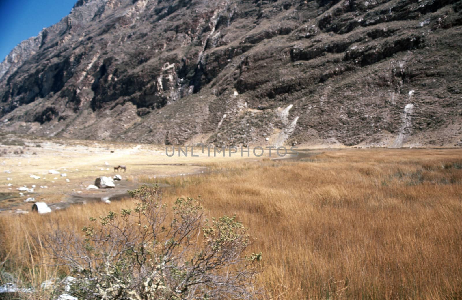 Withered field by a stony abrupt mountain, in Peru, South America