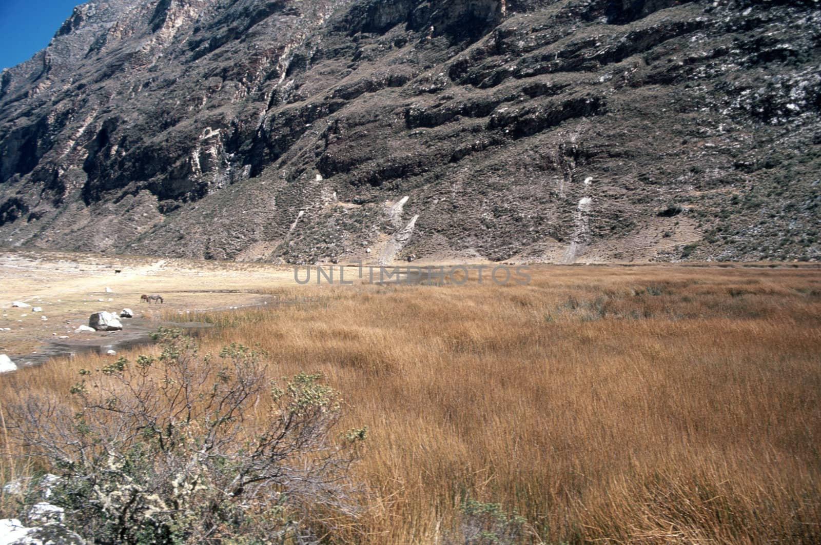 Withered field by a stony abrupt mountain, in Peru, South America