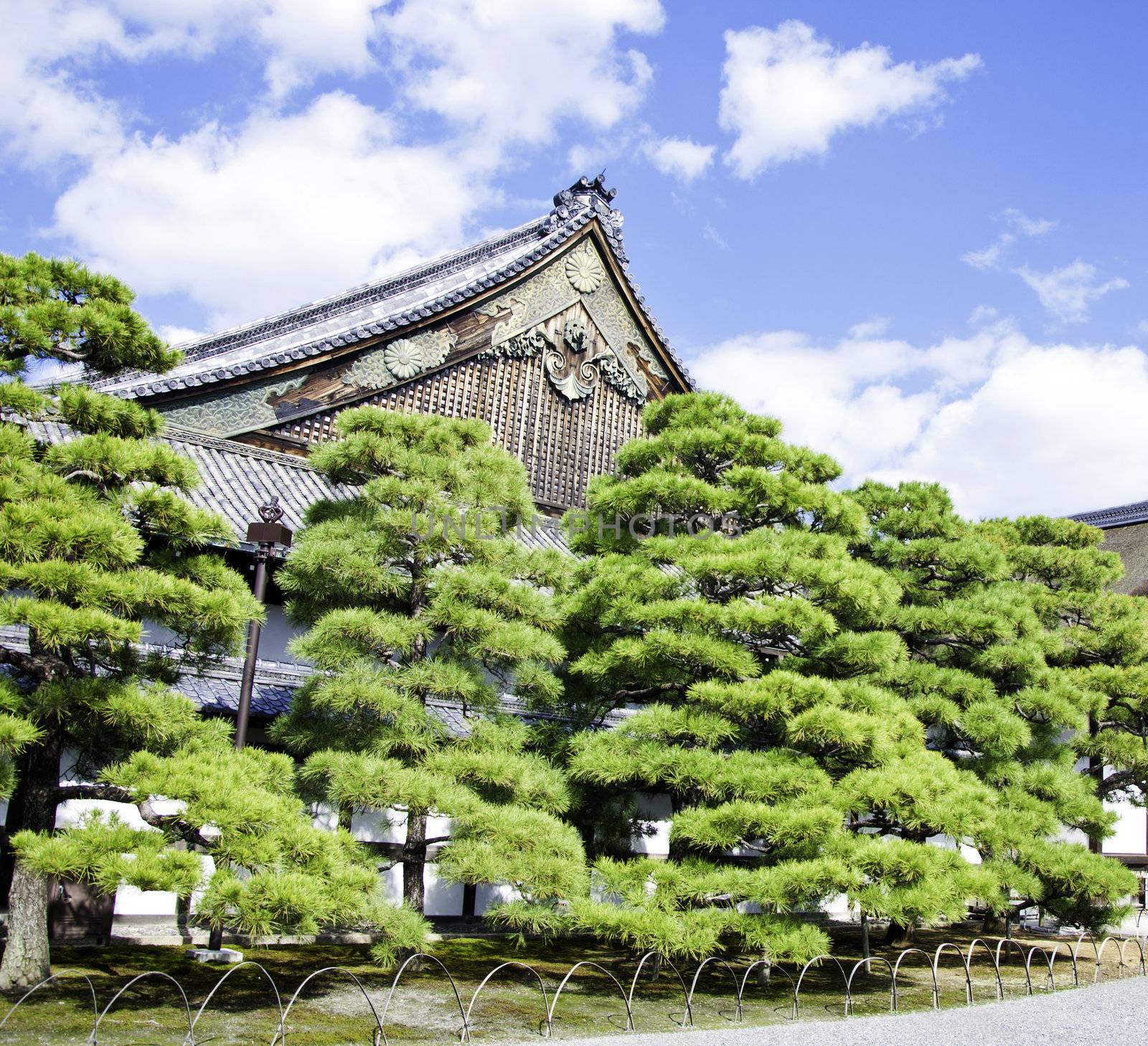 Nijo Castle was built in 1603 as the Kyoto residence of Tokugawa Ieyasu, the first shogun of the Edo Period (1603-1867) 