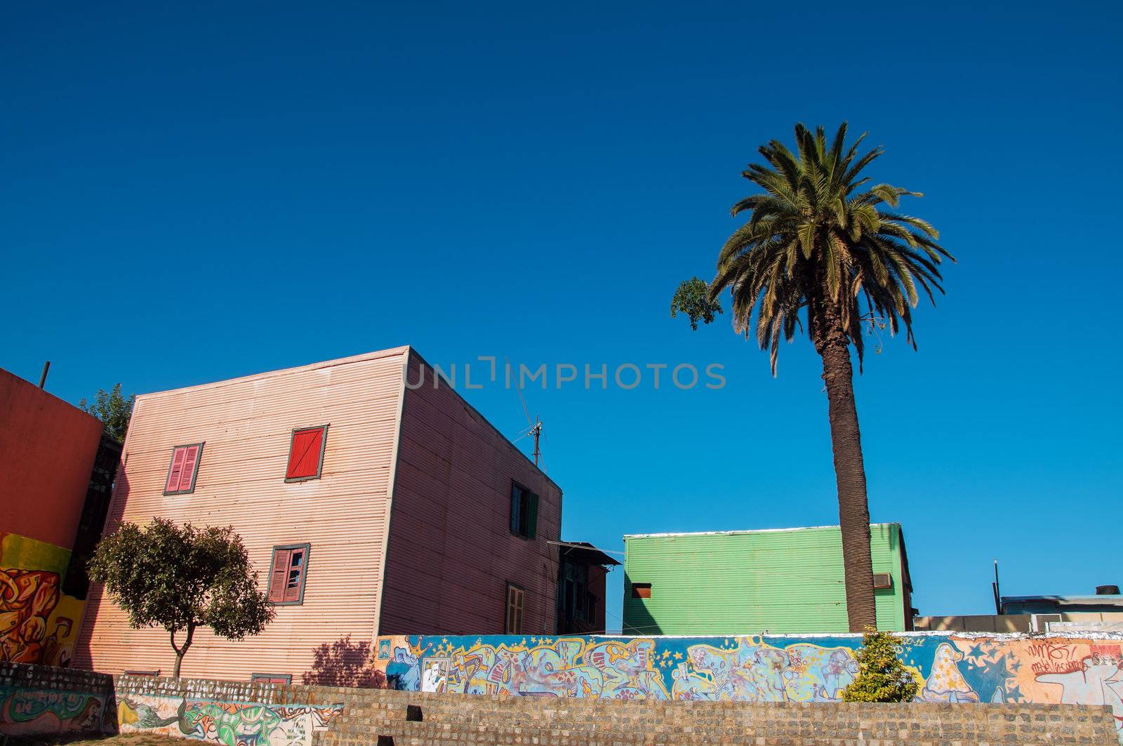 Pink building and palm tree in historic La Boca neighborhood in Buenos Aires