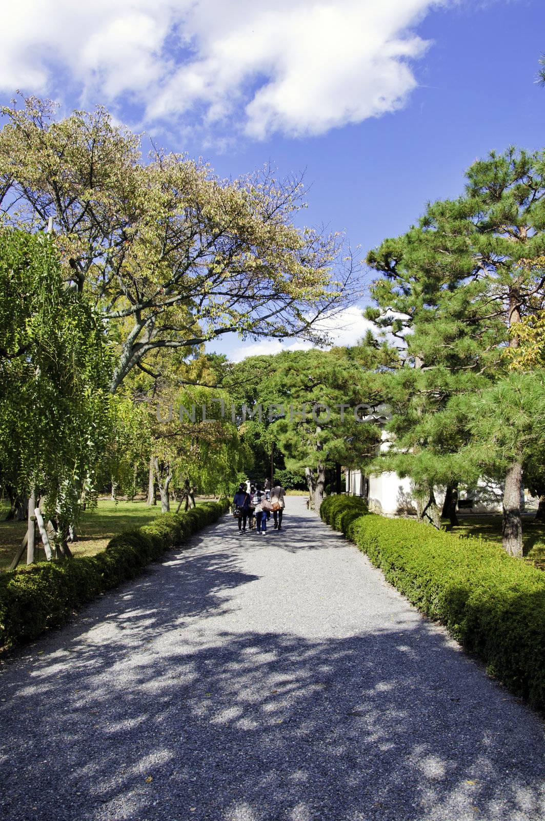 Pathway in the garden of nijo castle, Kyoto, Japan