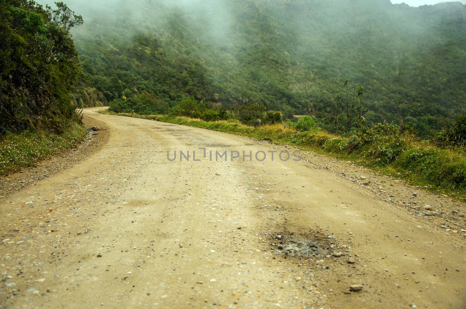 Dirt road through the wilderness in rural Colombia