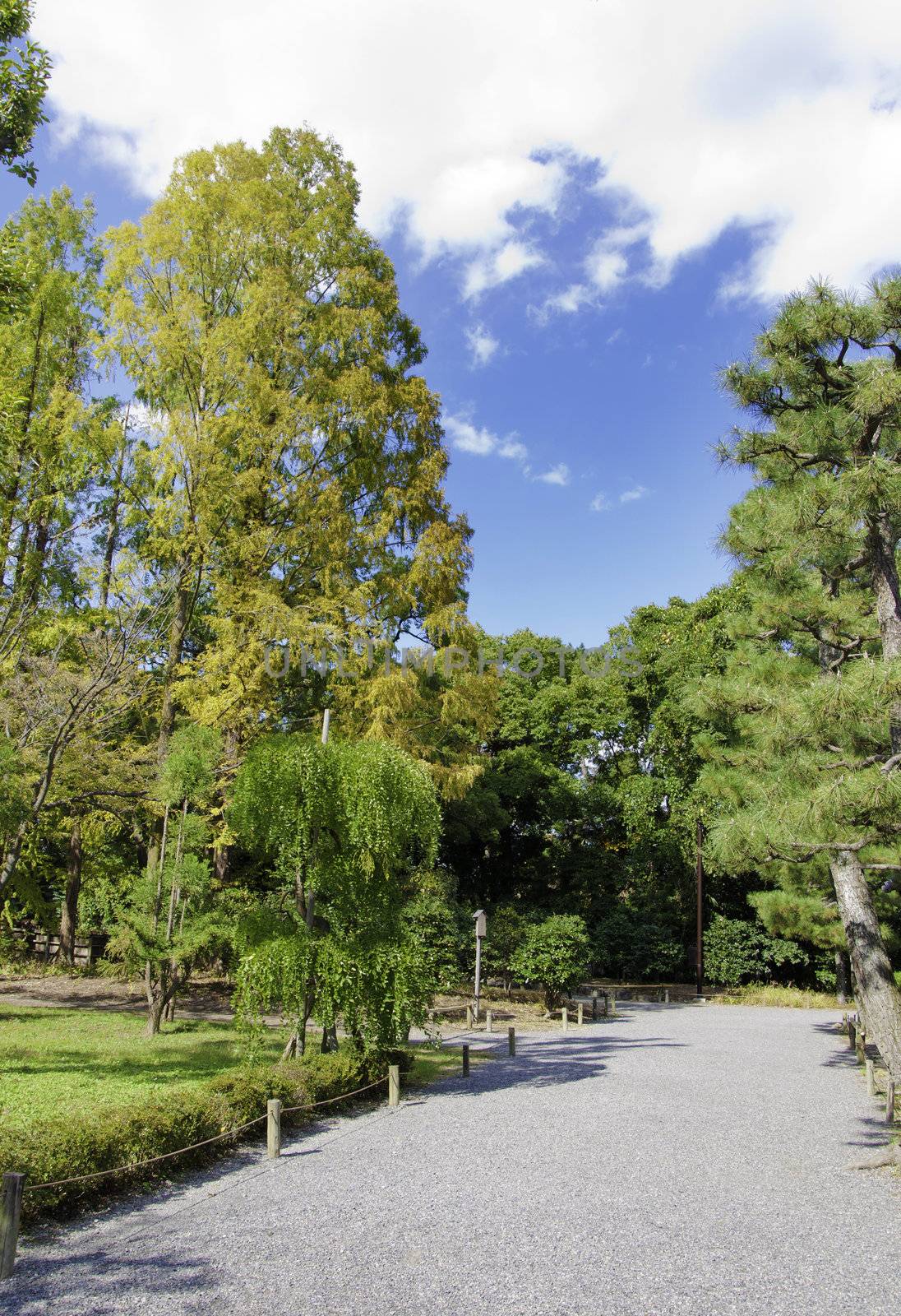 Pathway in the garden of nijo castle, Kyoto, Japan