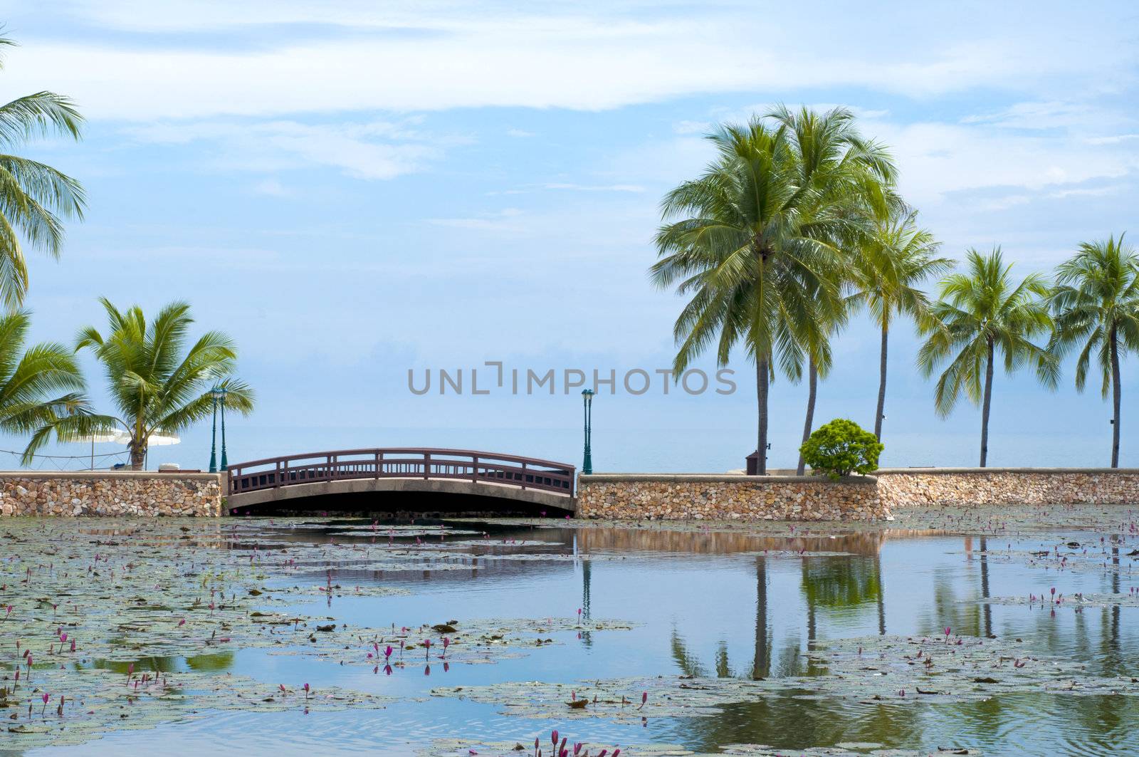 Bridge at tropical garden by TanawatPontchour