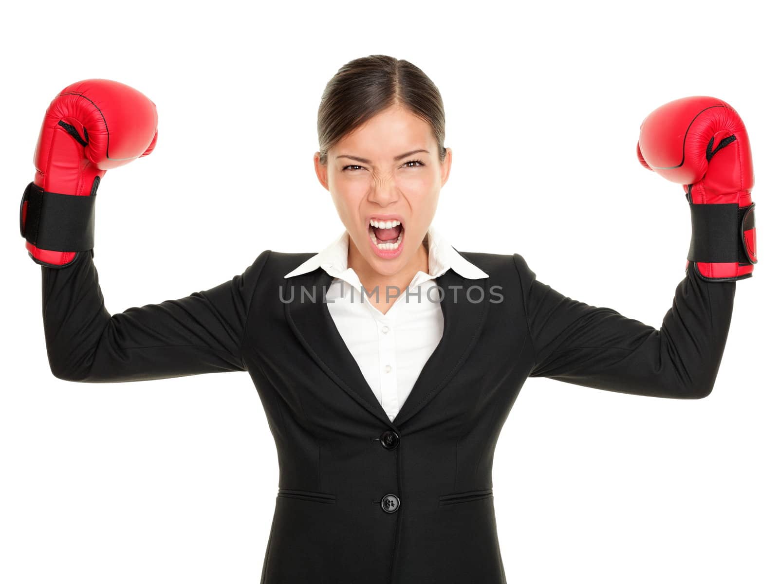 Boxing gloves business woman angry - business concept showing aggressive female businessperson flexing muscles wearing boxing gloves isolated on white background. Mad multiracial businesswoman.
