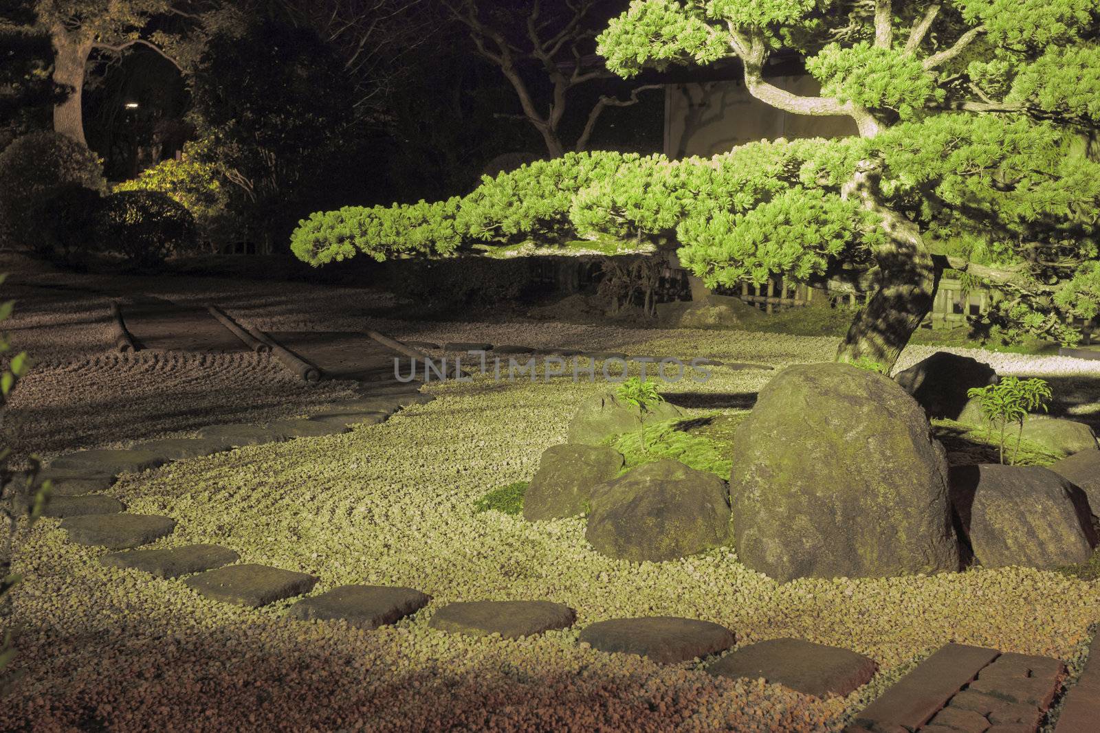 pine tree inside Japanese zen garden with stone way around and scenic night illumination