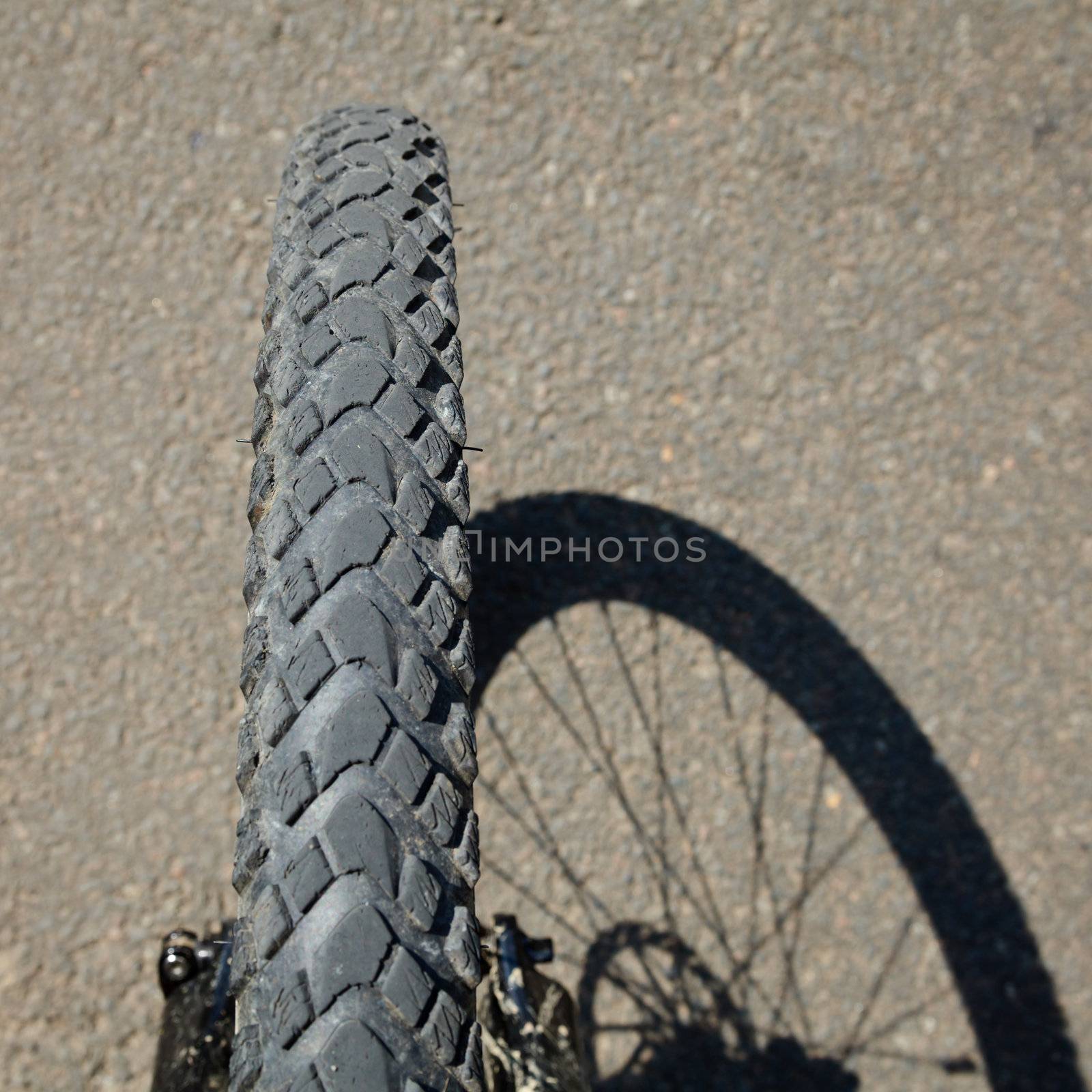 Mountain bike wheel with the shadow on the road