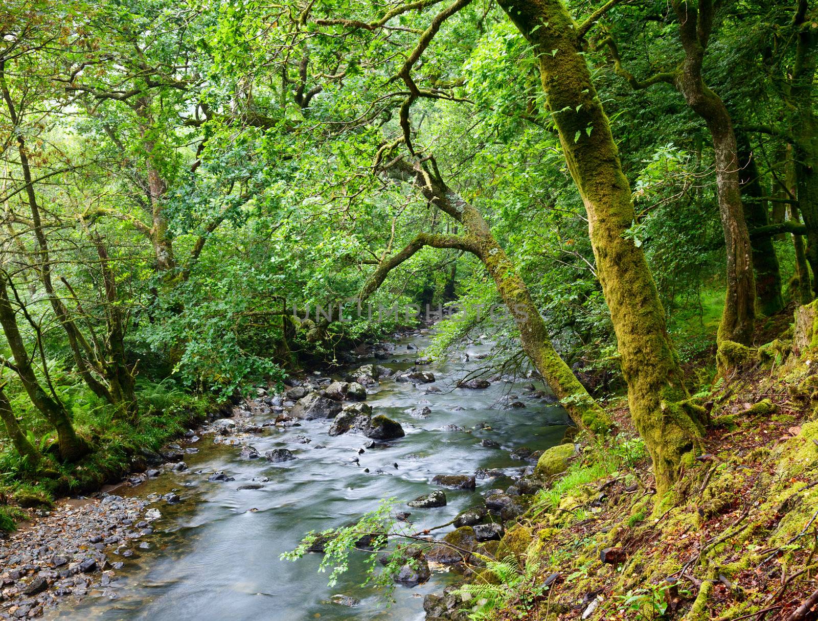 Croe Waret river at Ardgartan in Scotland