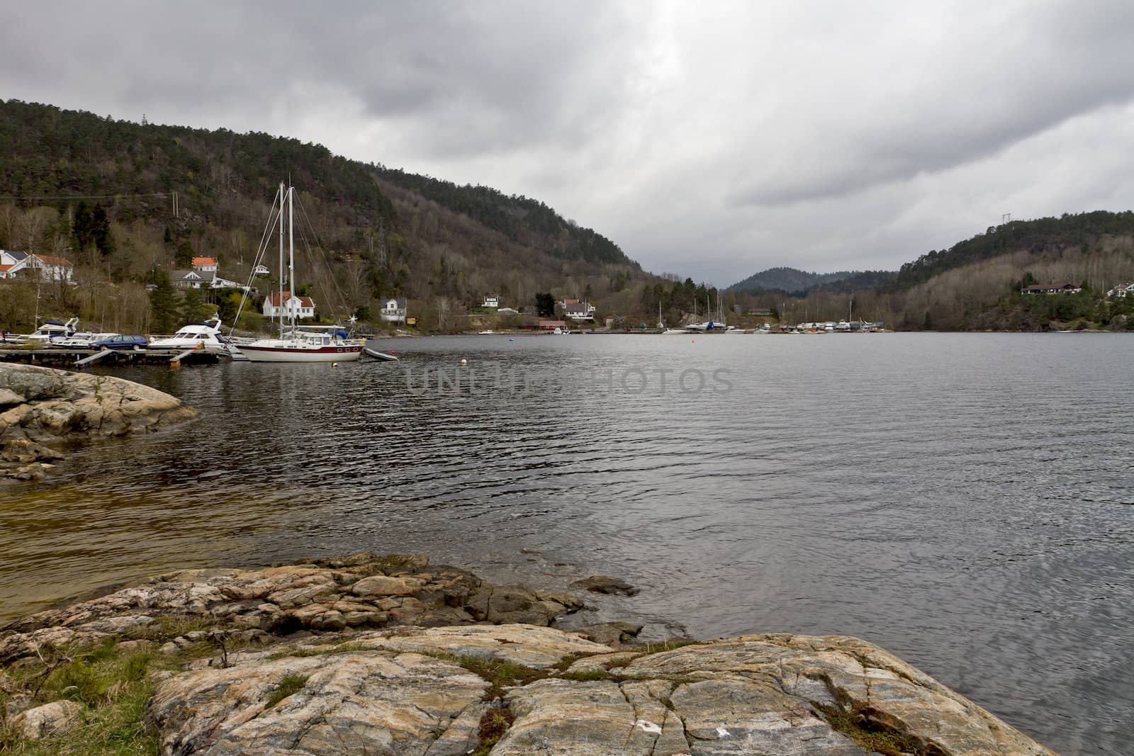 coastline wit rock and forest in background