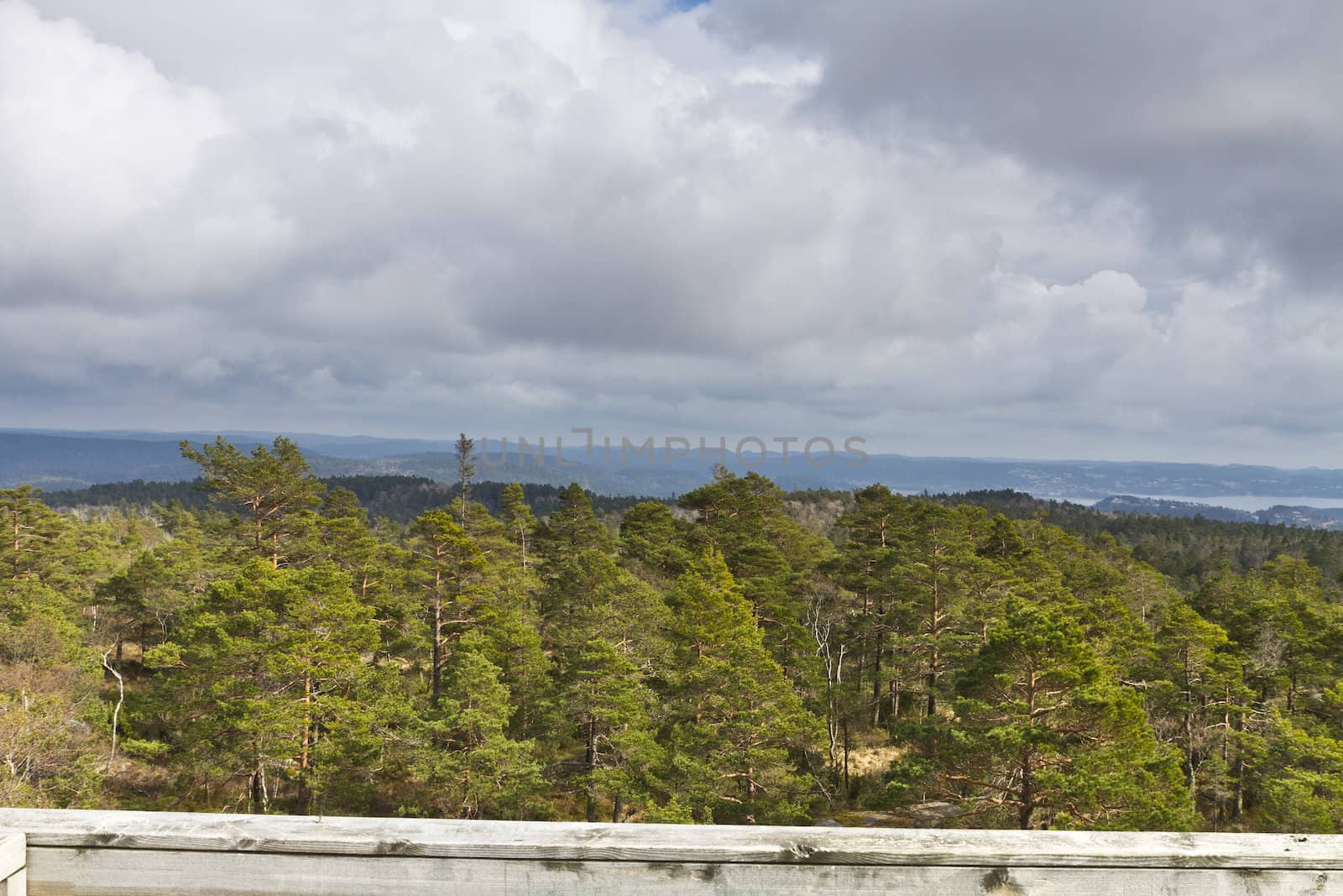 view over forest with cloudy sky by gewoldi