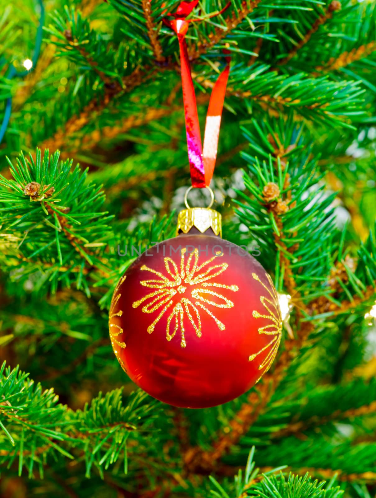 Red Christmas bauble on a Christmas tree