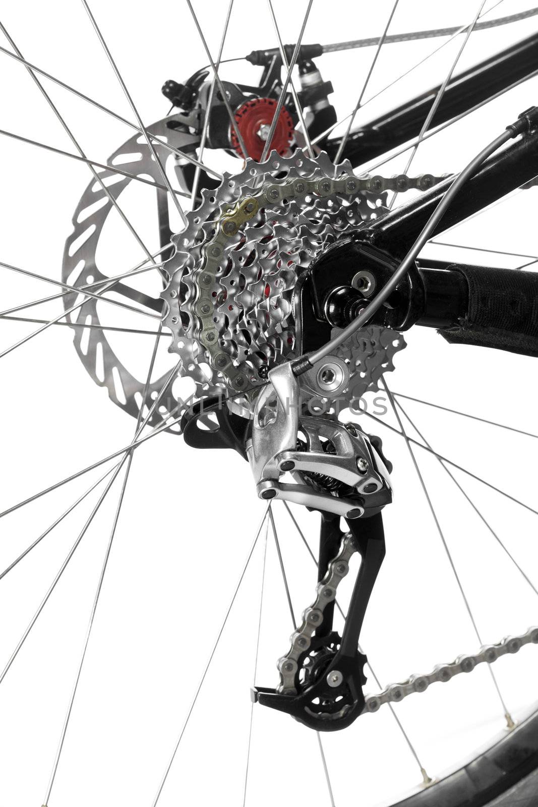 Mountain bike rear wheel detail on white background