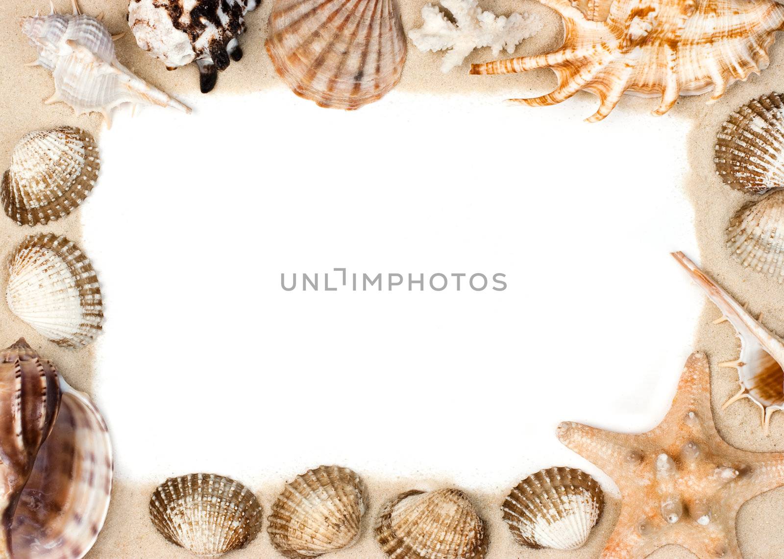 Seashells and starfish on sand picture frame