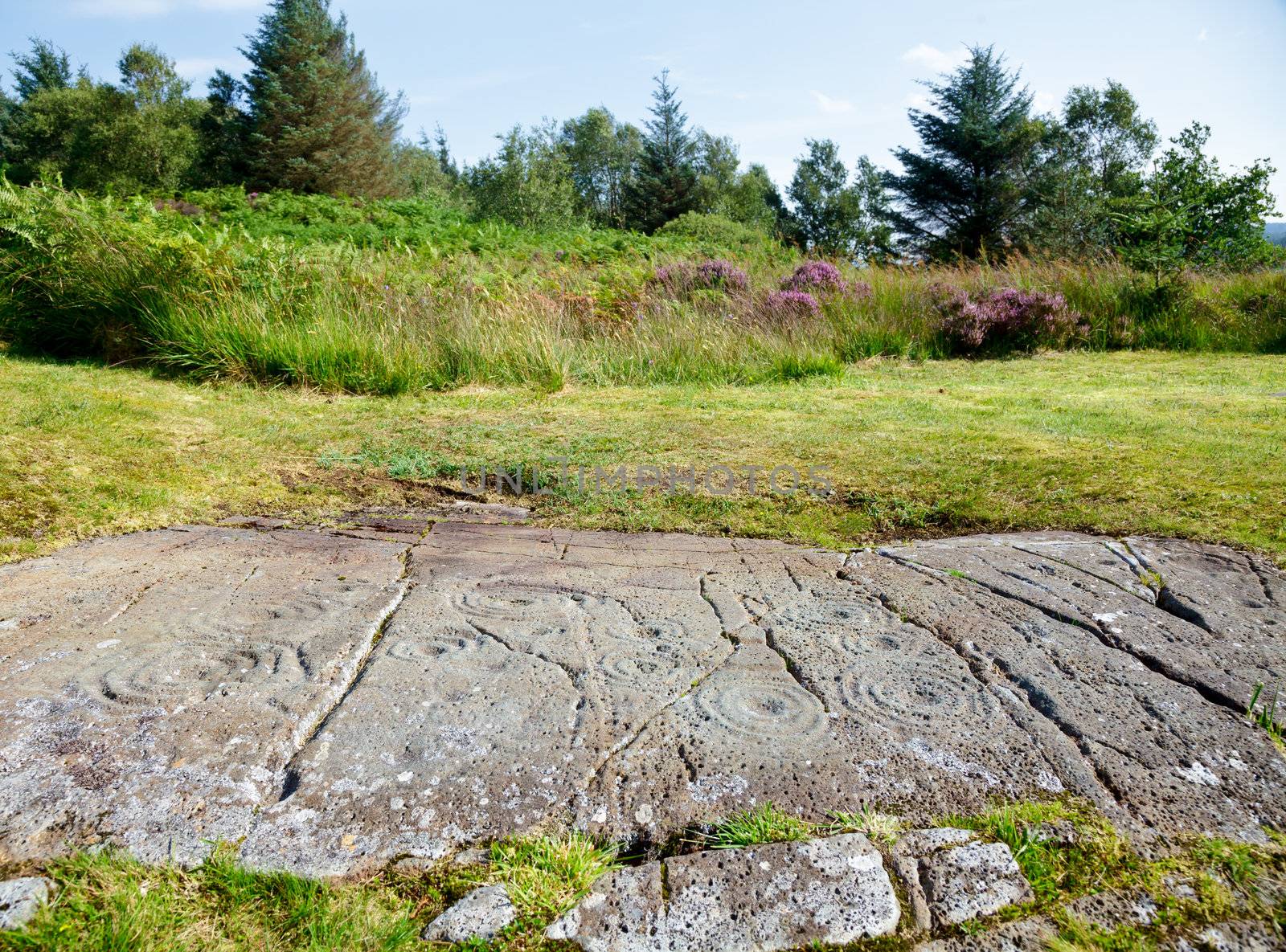 Cup and ring marks on a stone near Cairnbaan in Scotland