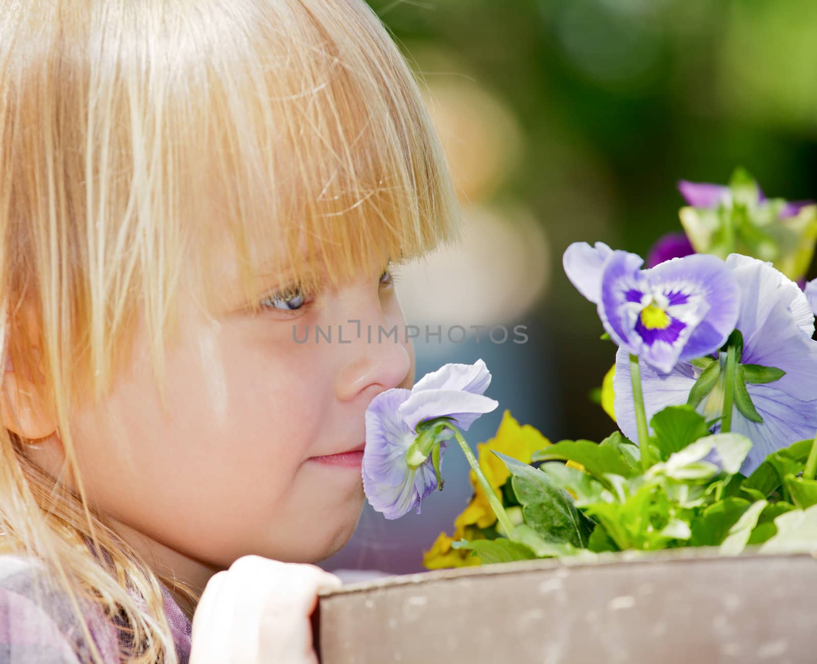Little girl smelling blue flower in a garden