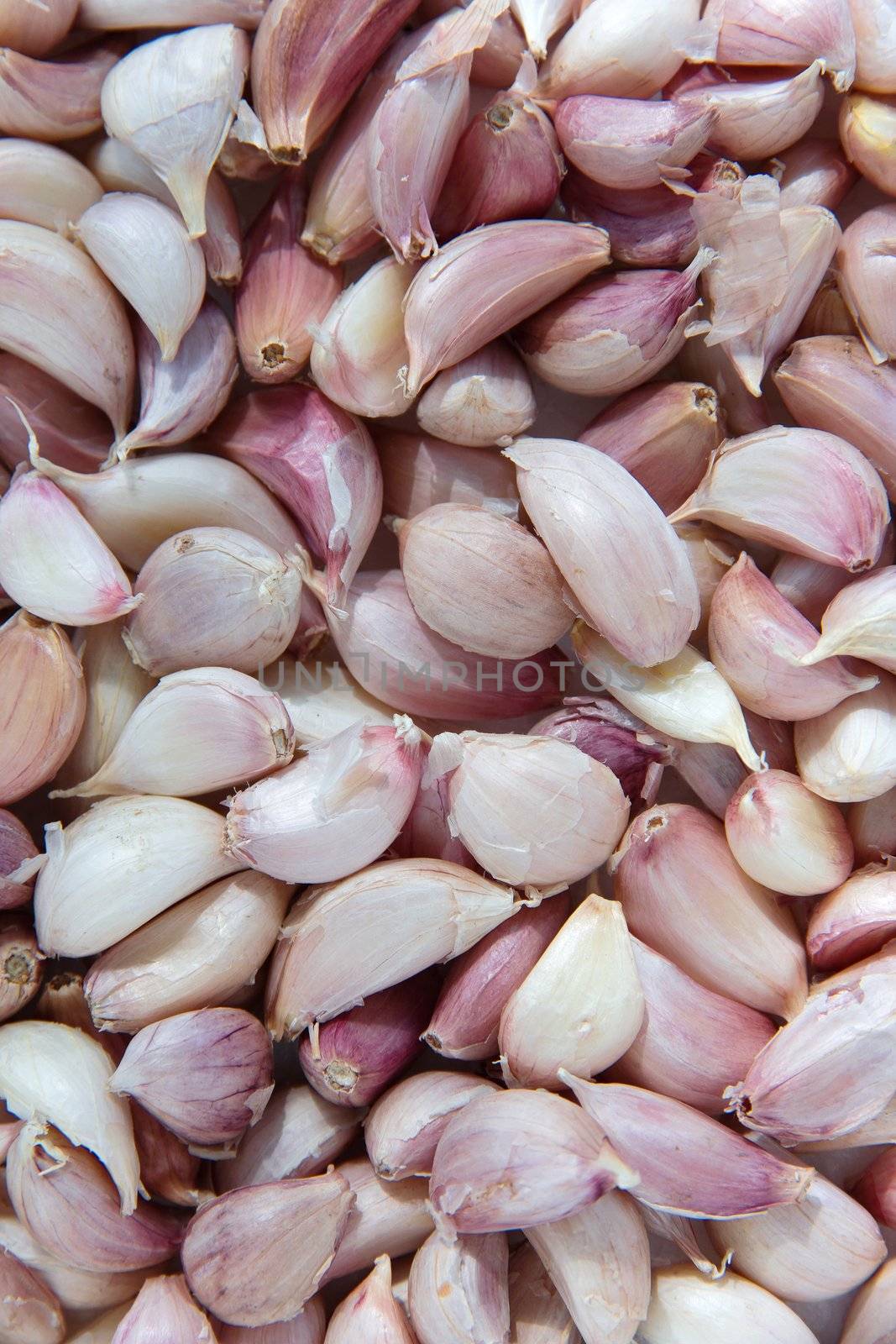 garlic background by ponsulak
