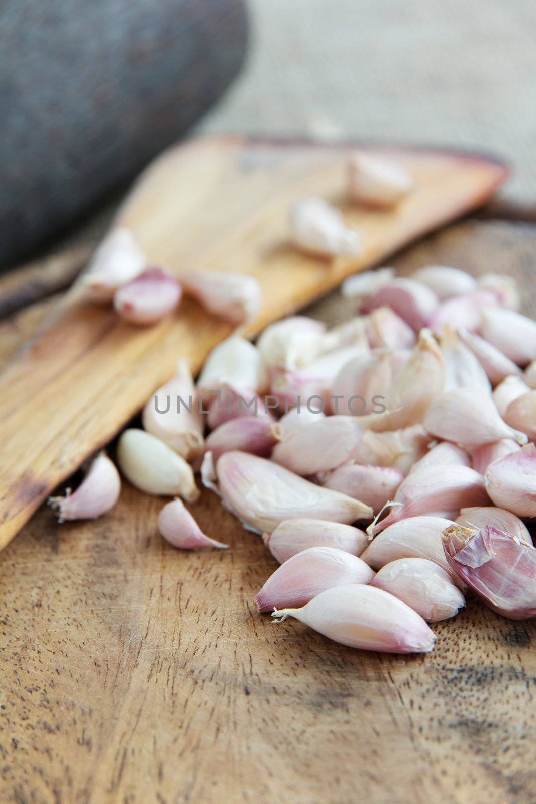 Organic garlic by ponsulak