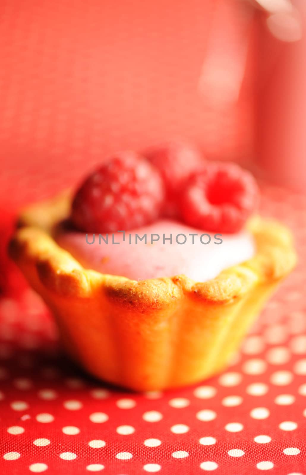 Cake with raspberry yogurt dessert with shallow DOF