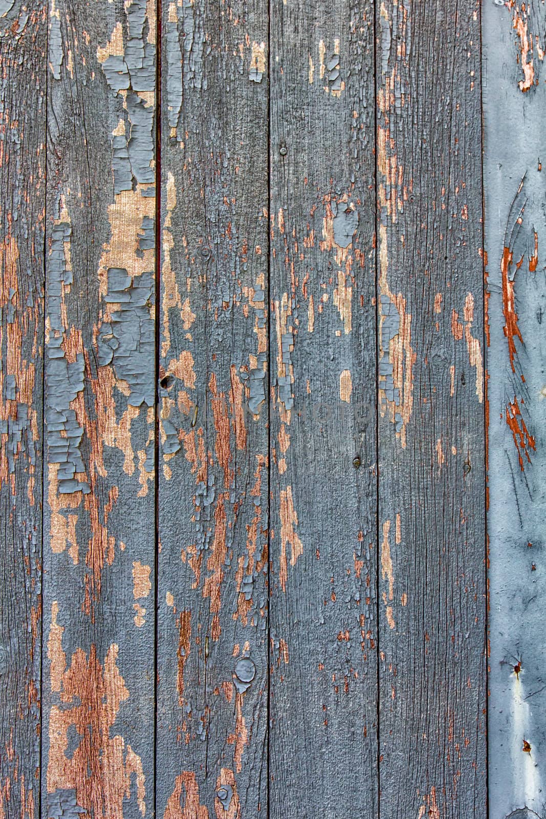 Weathered Clapboard Barn Siding Backdrop or Background on Vertical