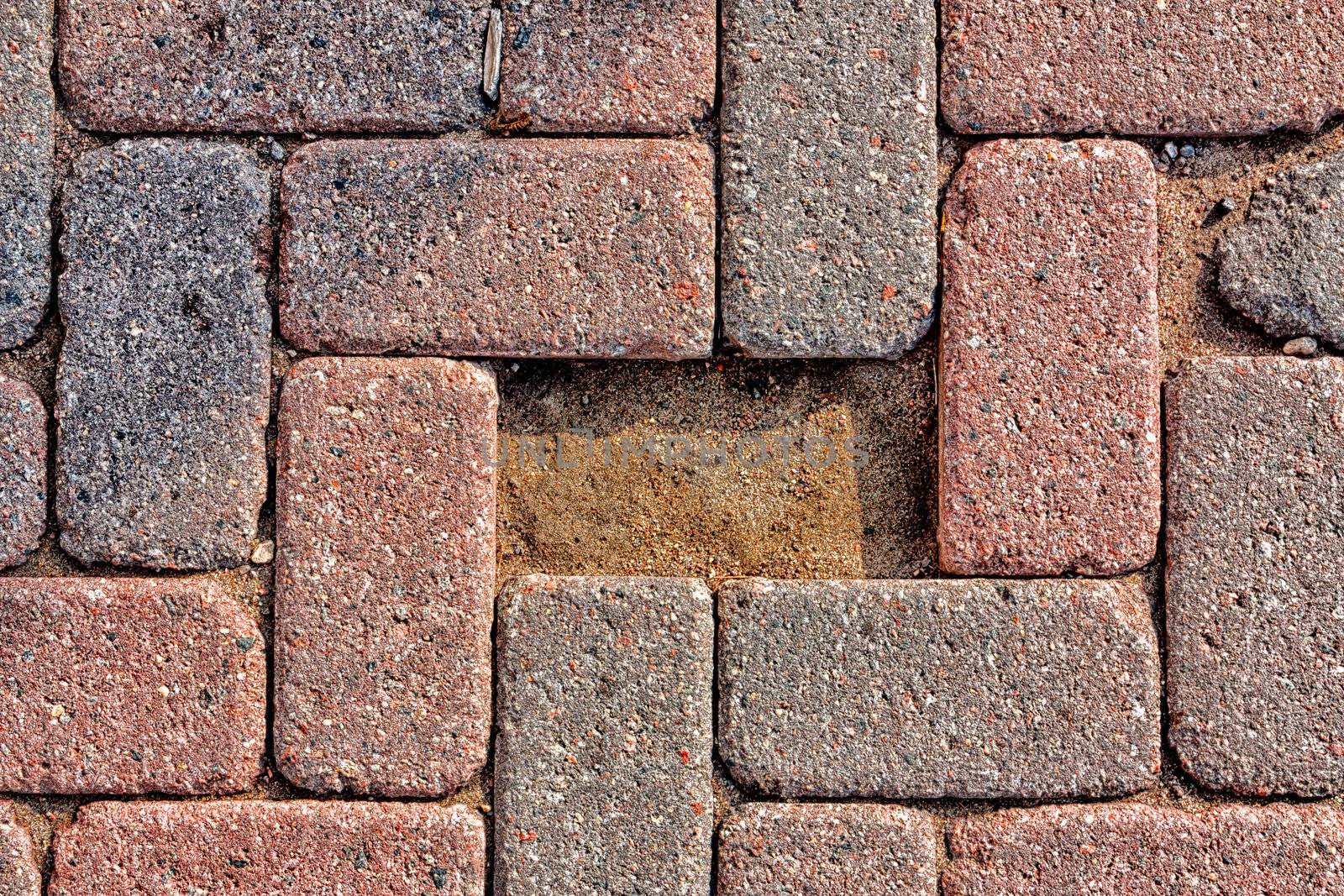 Missing Cobblestone Brick in Urban Street.