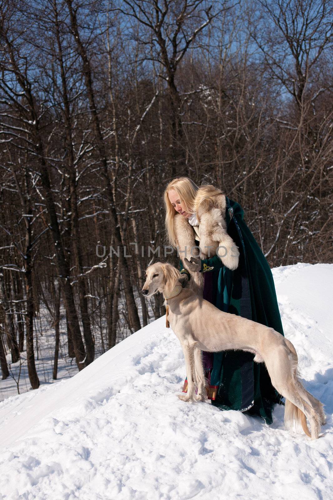 A blonde girl and a standing white saluki on snow
