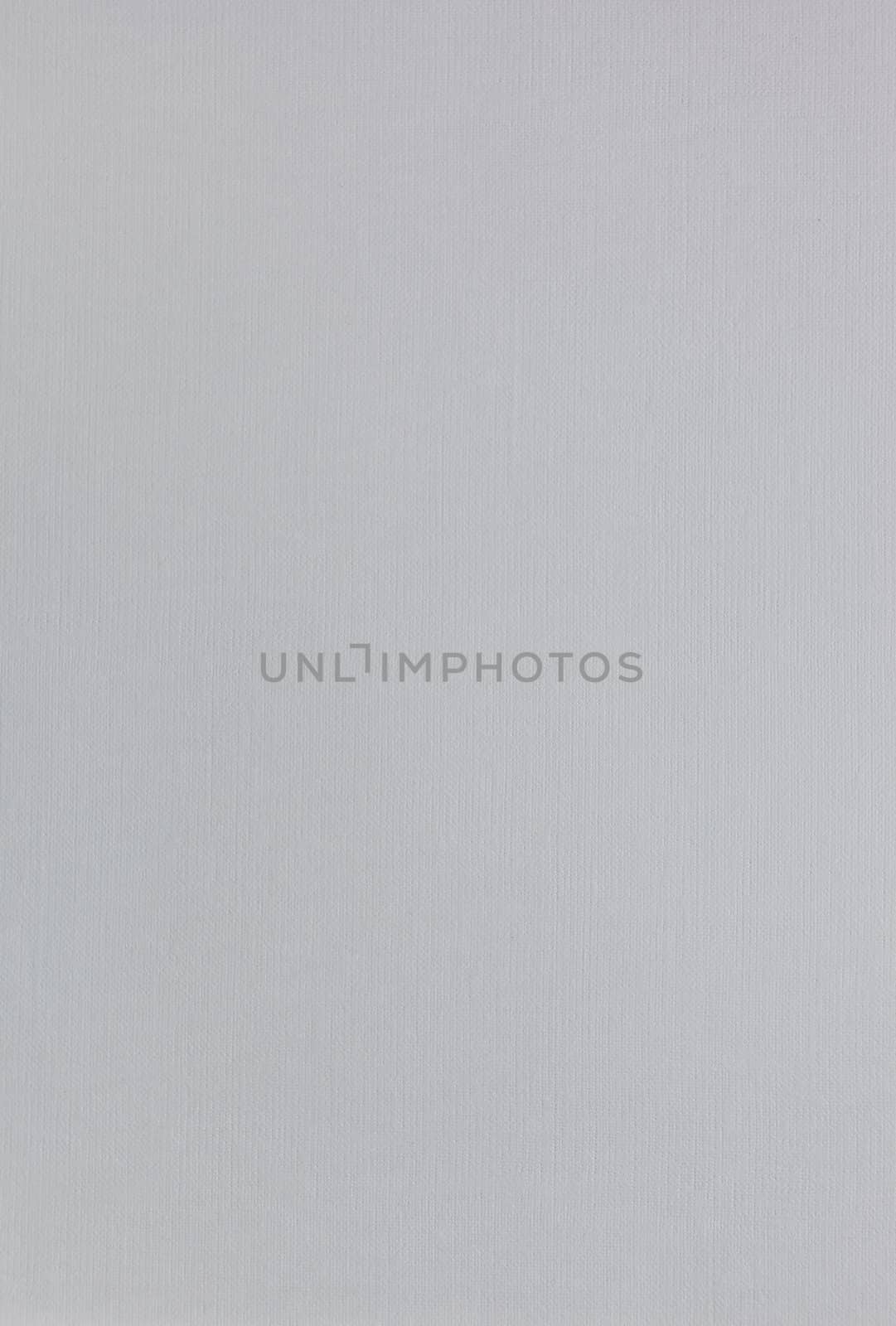 Fine blank pastel paper texture for background