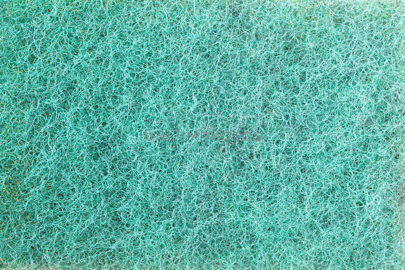 closeup of green spunge for cleaning pans