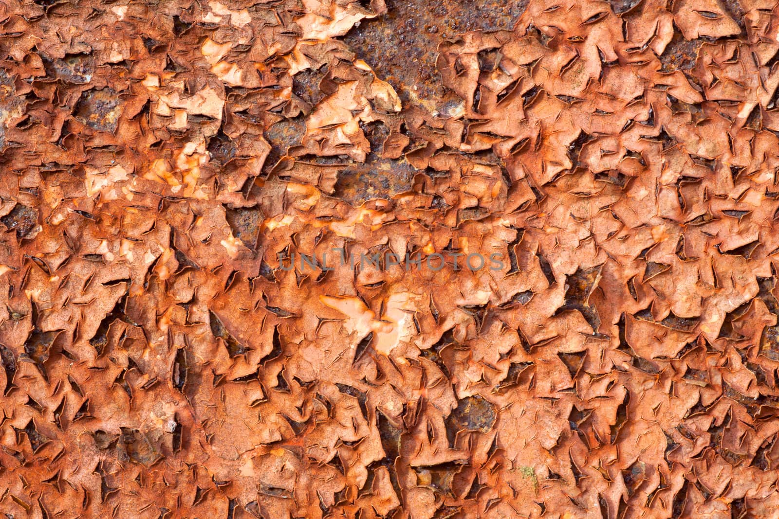detail of abstract pattern formed by rust and orange paint on metal