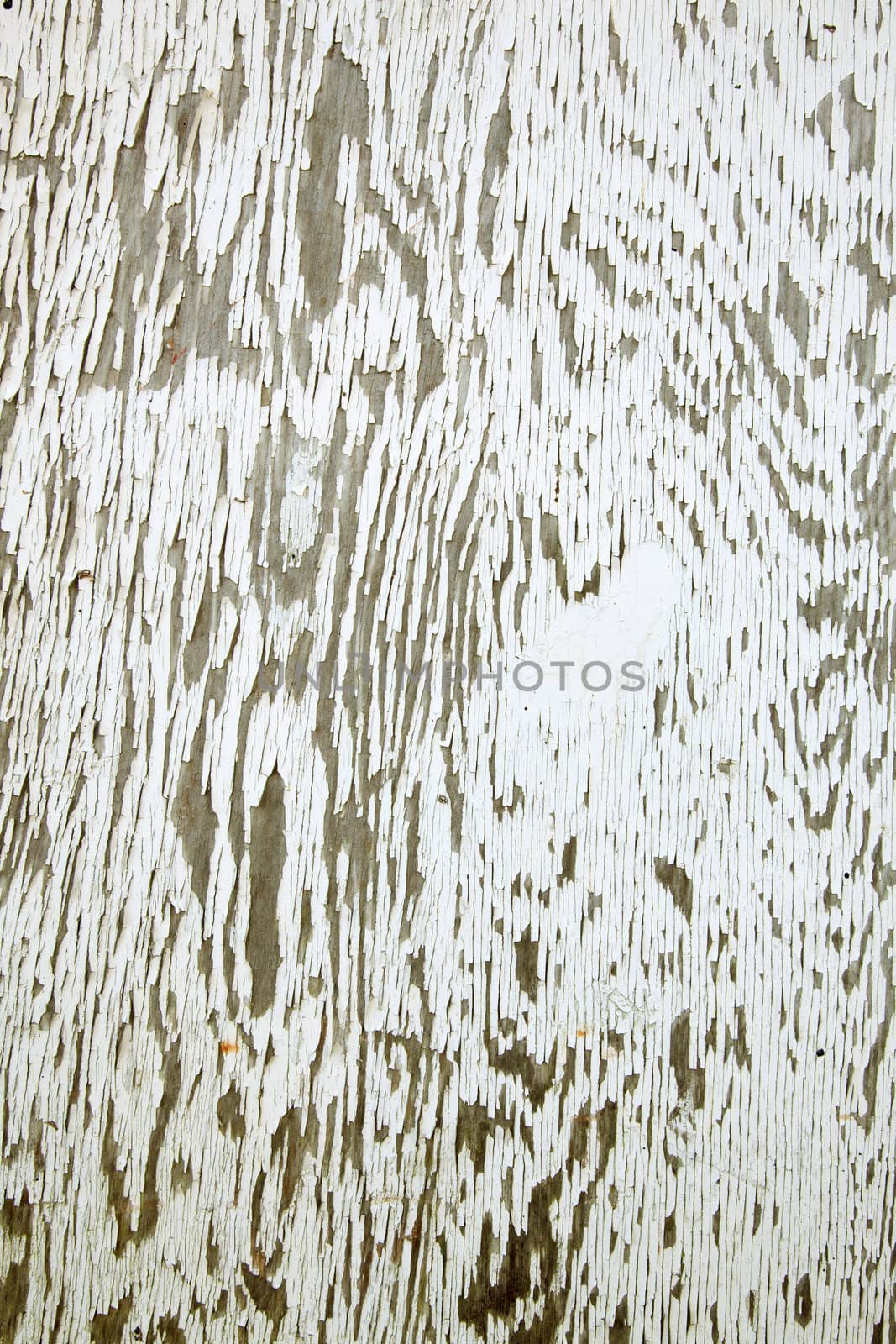 pattern of old white paint on weathered board