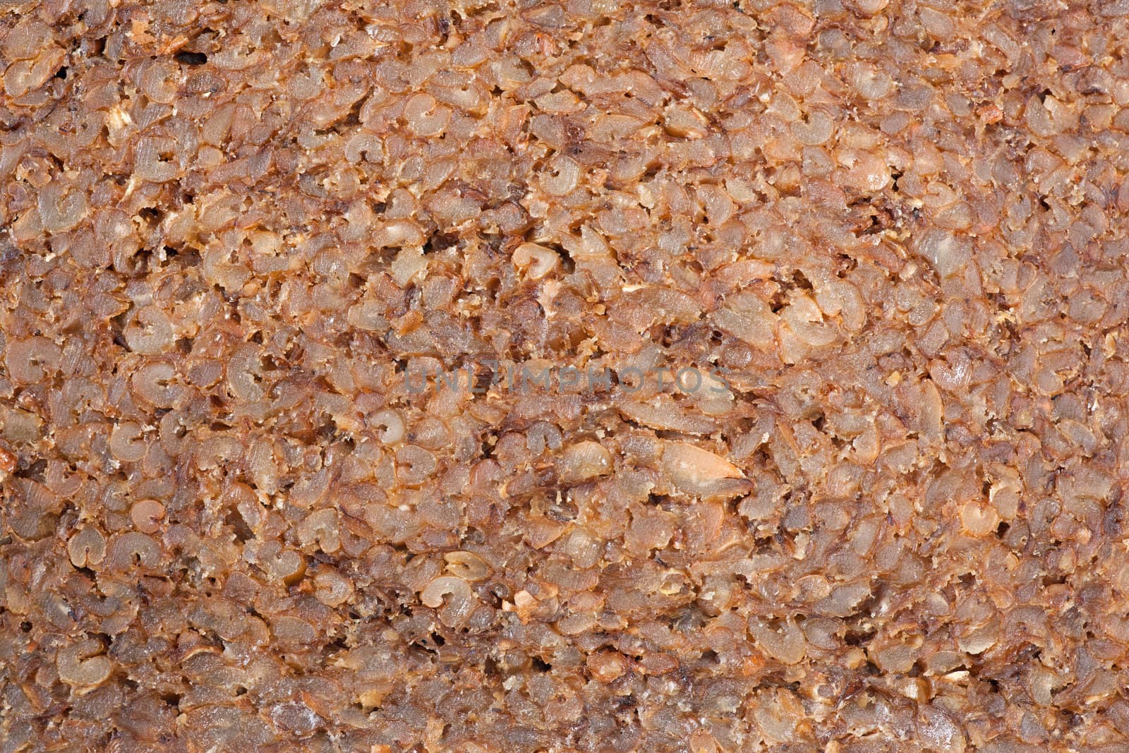 closeup of slice of brown rye bread by ahavelaar