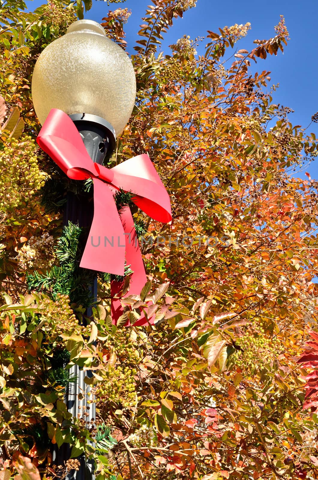Lamp post decorated with a red Christmas bow with autumn trees in the background