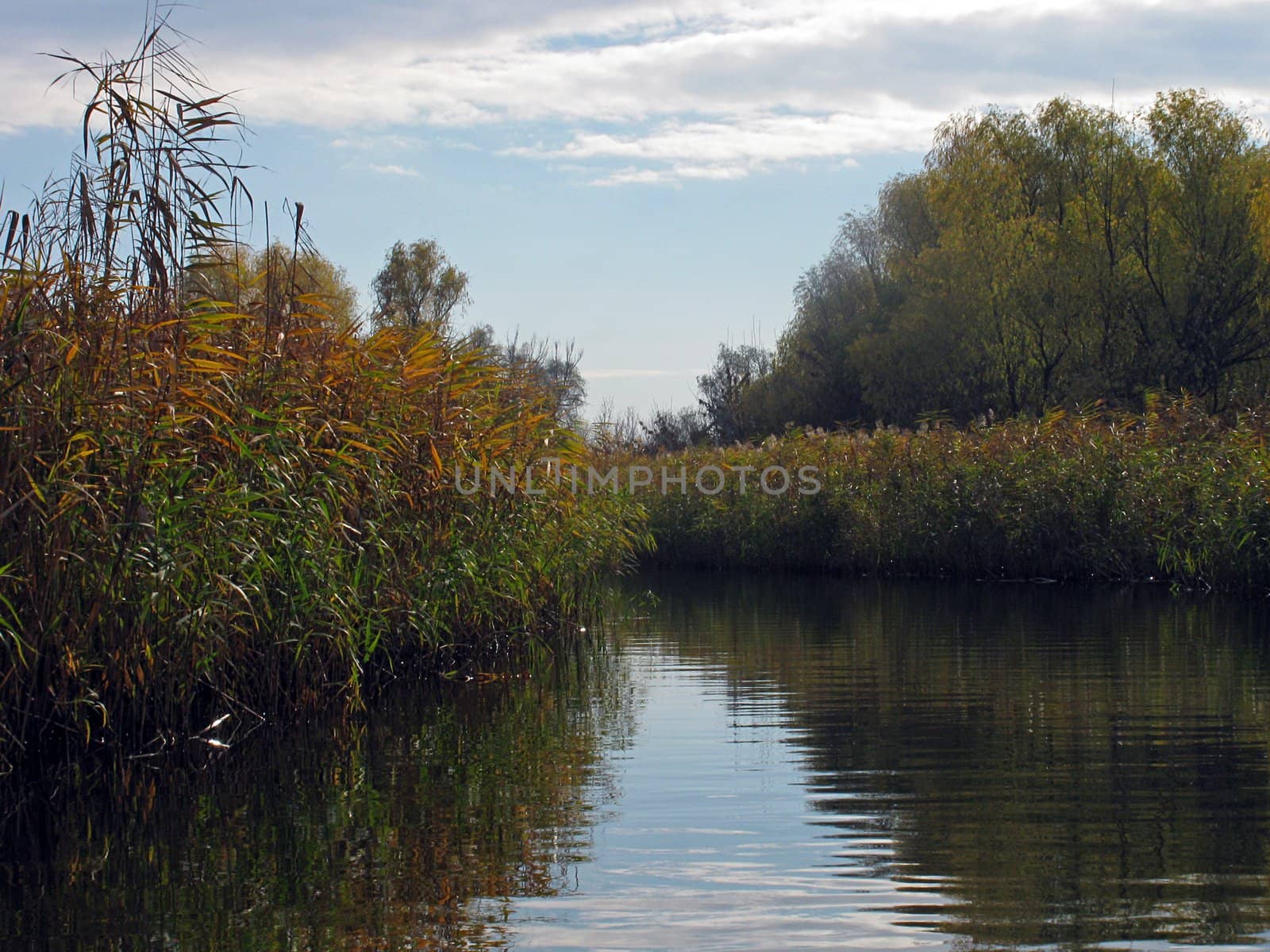 flux of Dnieper