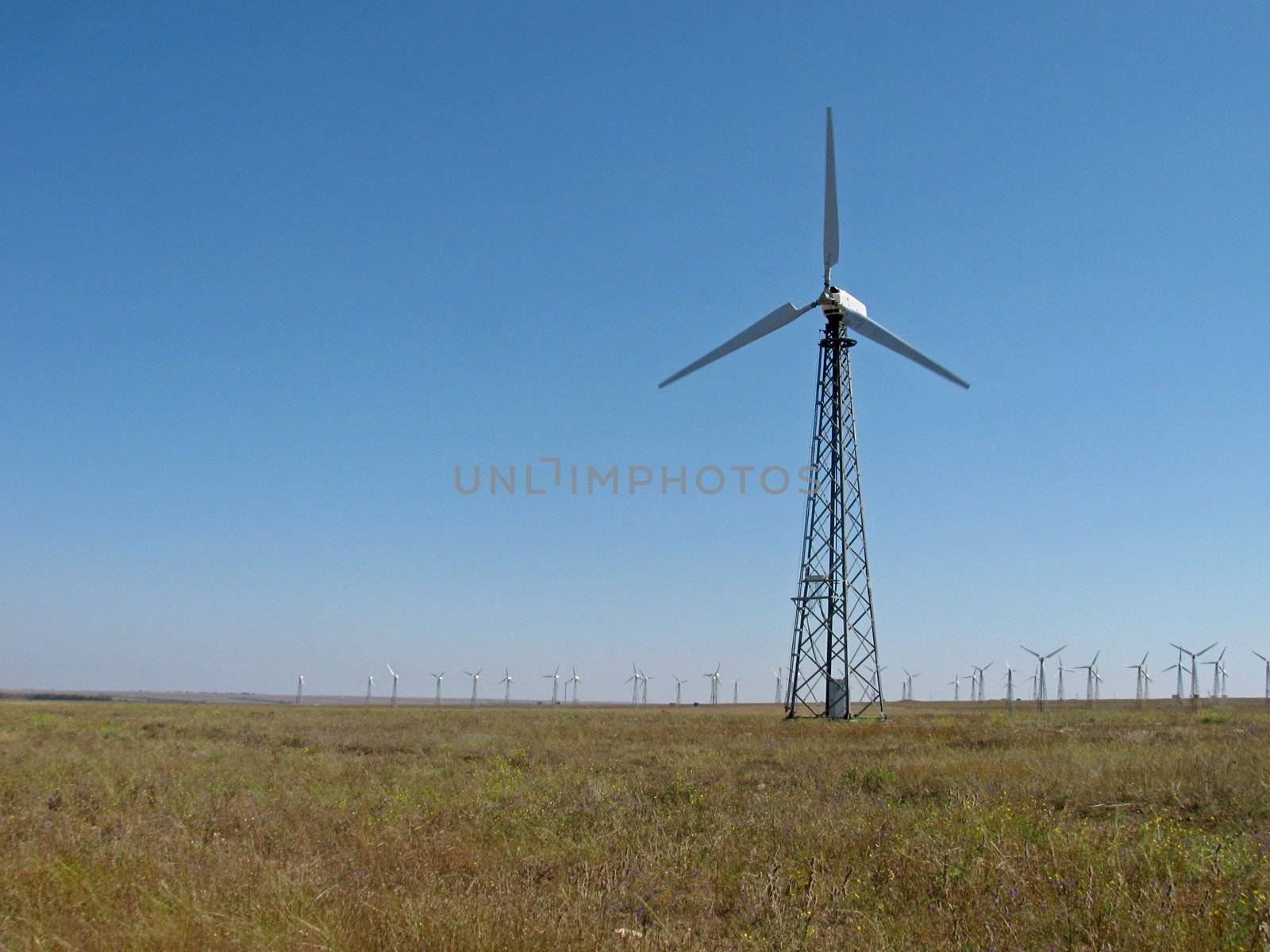 alternative energy: wind turbines power station