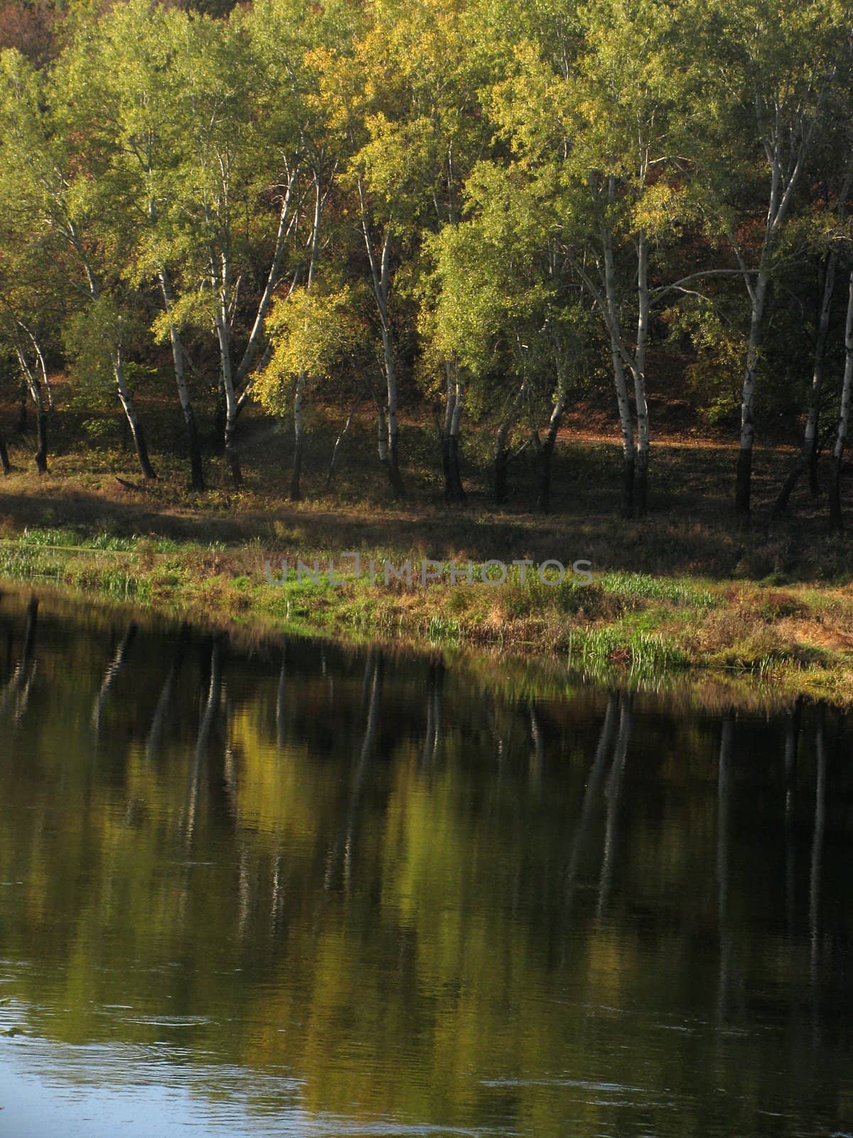 riverside at fall by romantiche