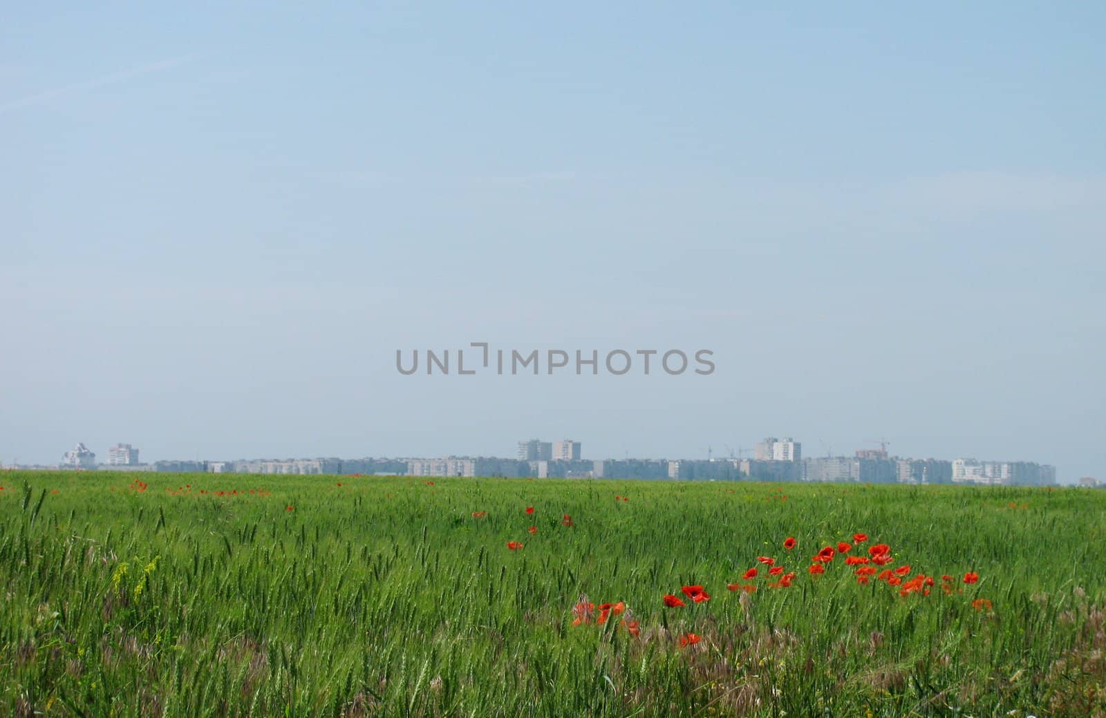 town behind wheat field