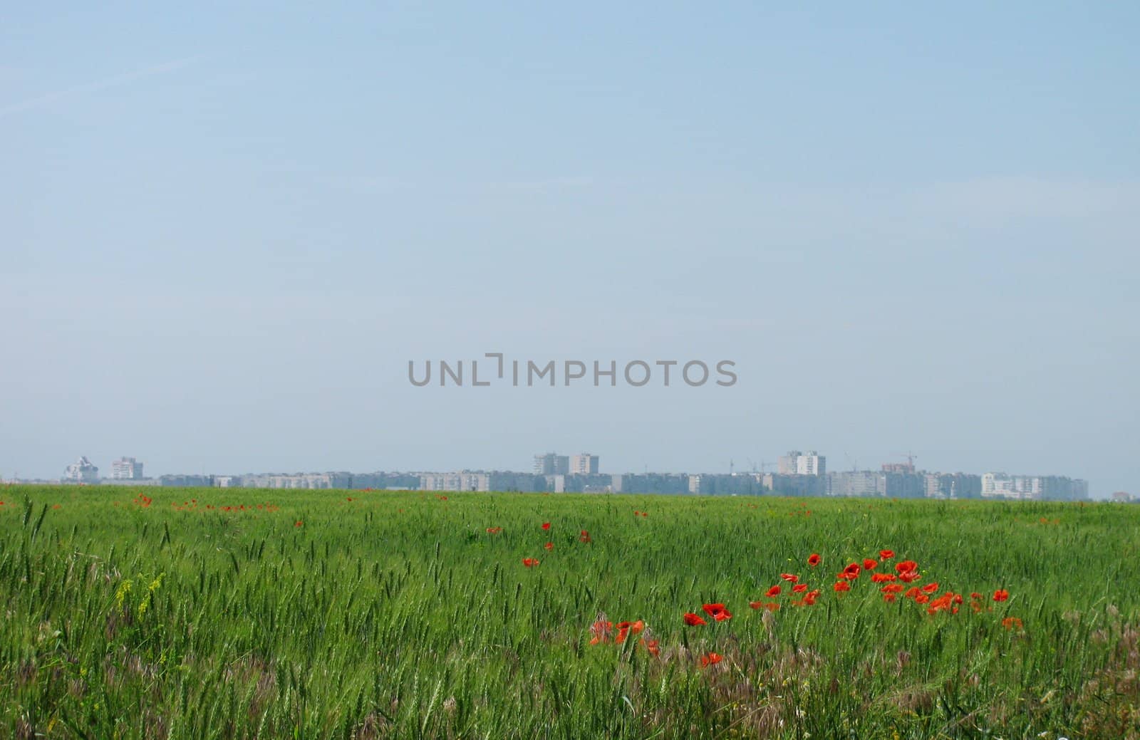 town behind wheat field