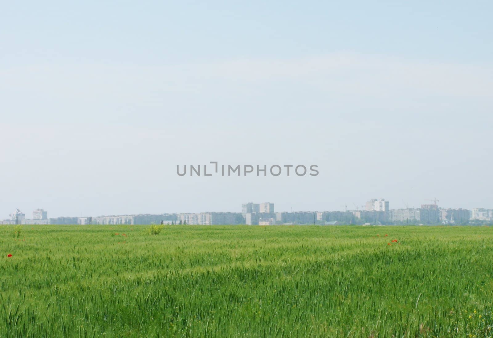 town behind wheat field by romantiche