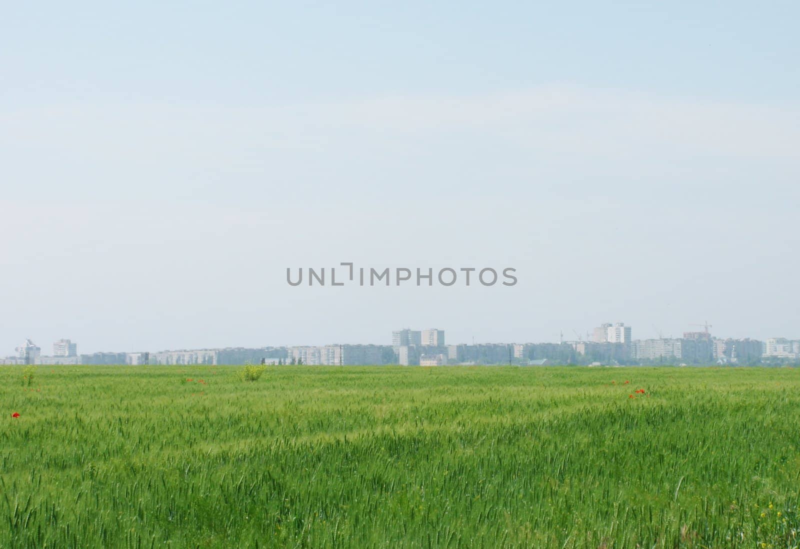 town behind wheat field