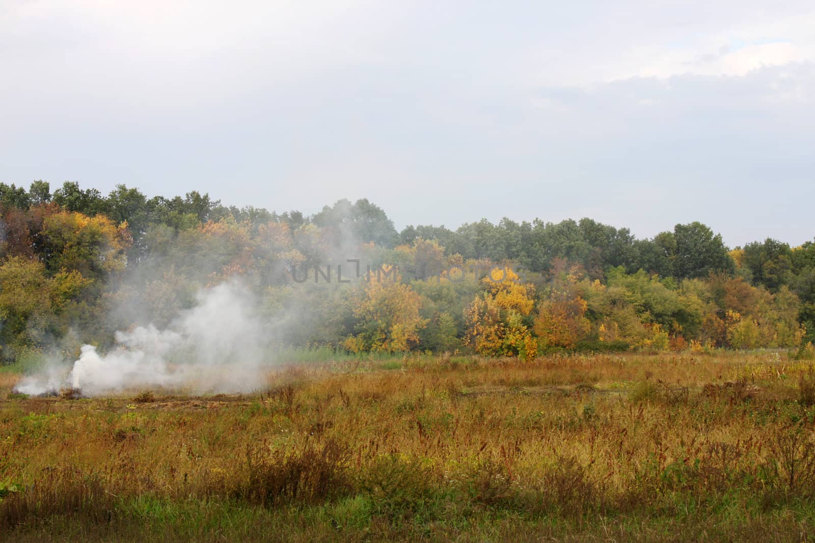 countryside landscape: smoke on a field
